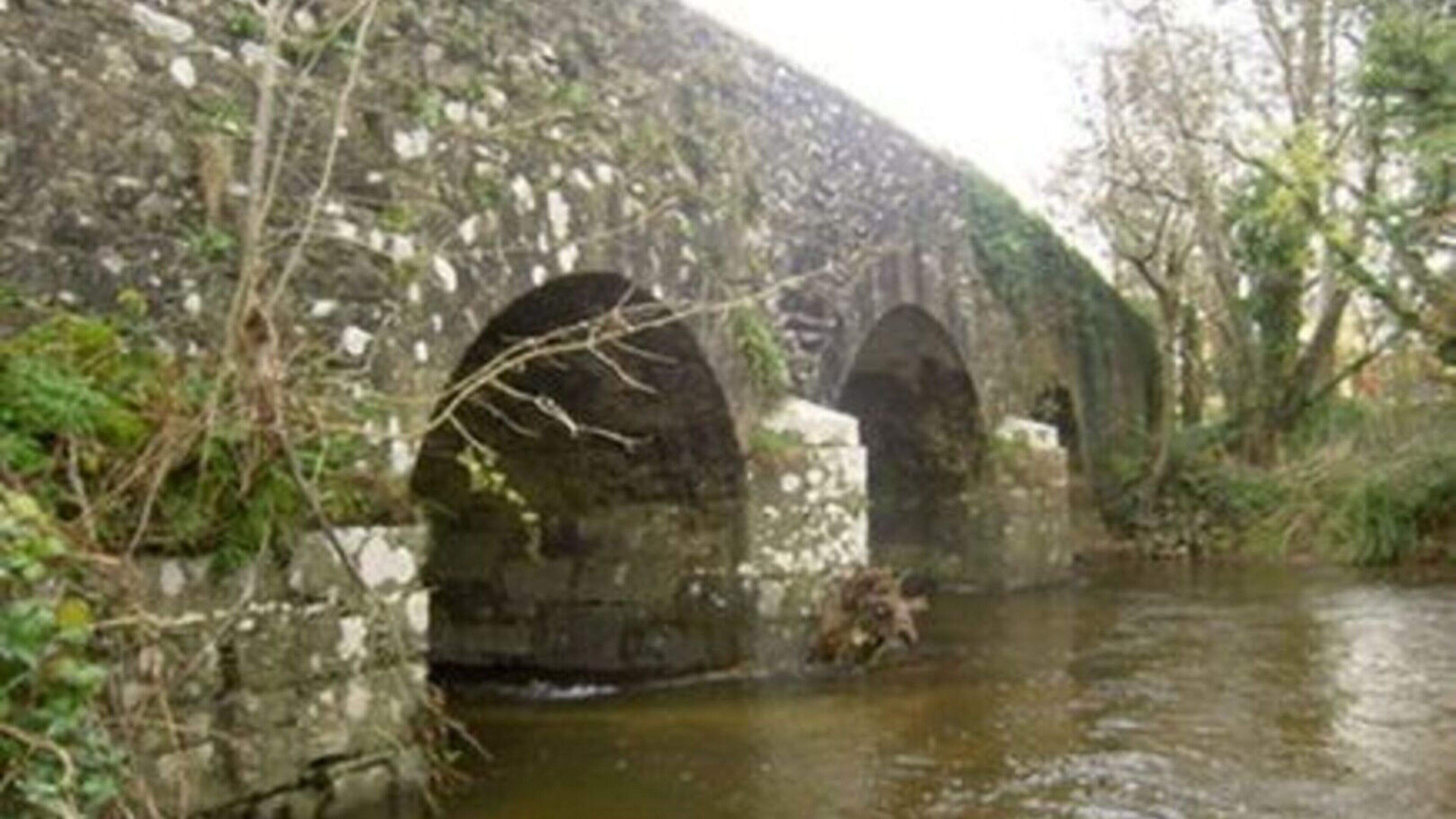 Concerns over safety of bridge in North Cork