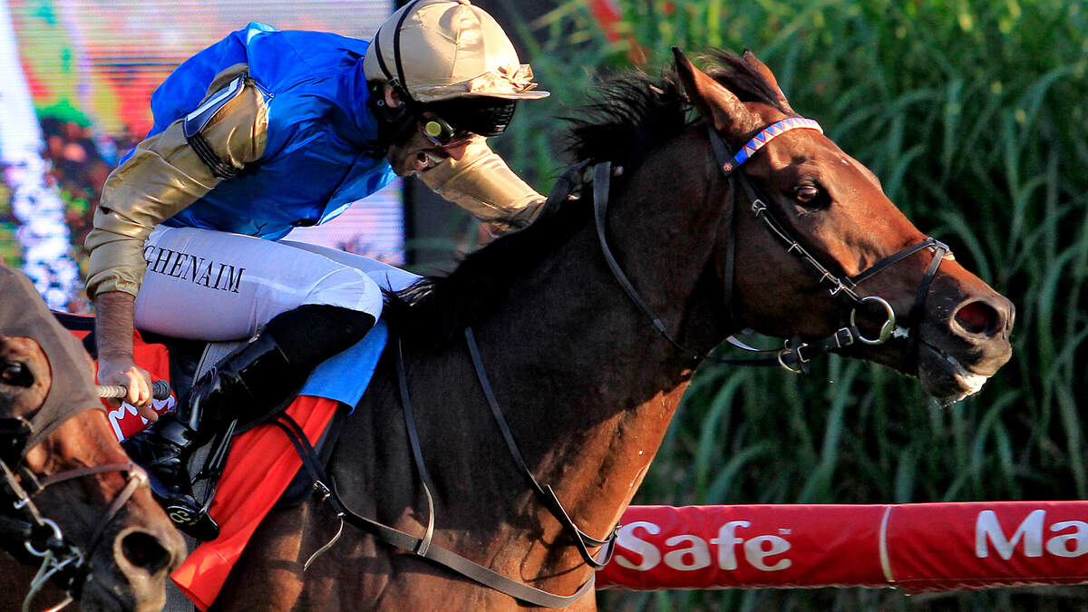 Wayne Bailey: Silawi can spring a surprise in Newbury opener