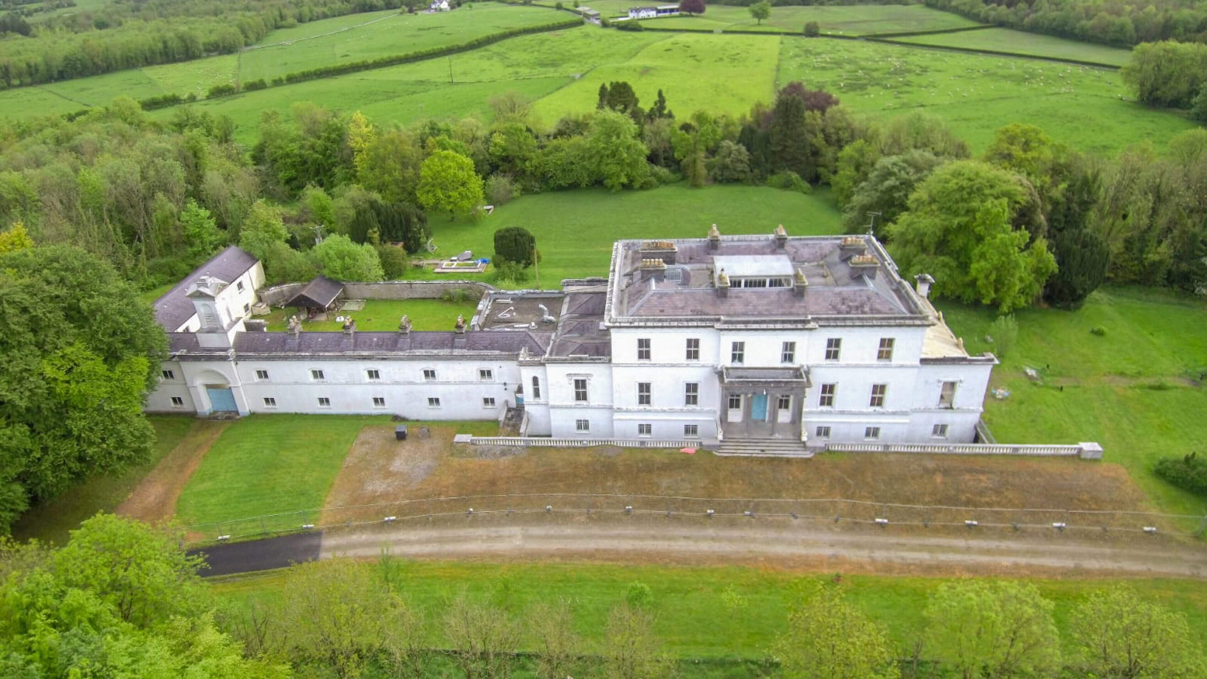 Price discounts offered for properties in auction, including stately home in Westmeath