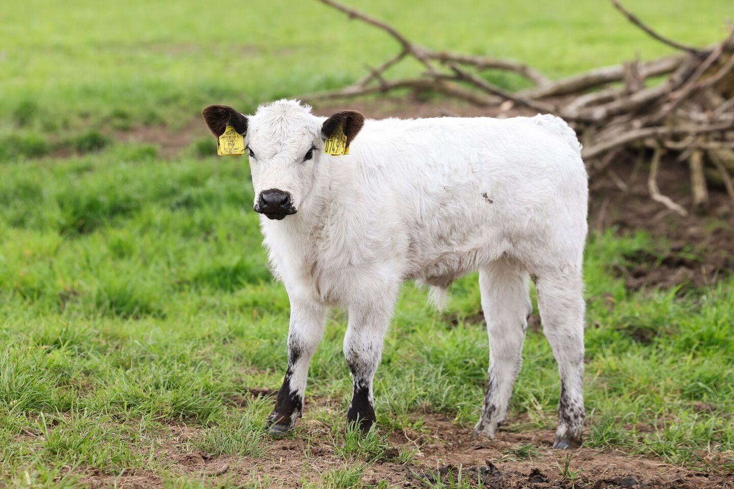 From the front line to the farm: how this former soldier built a ...