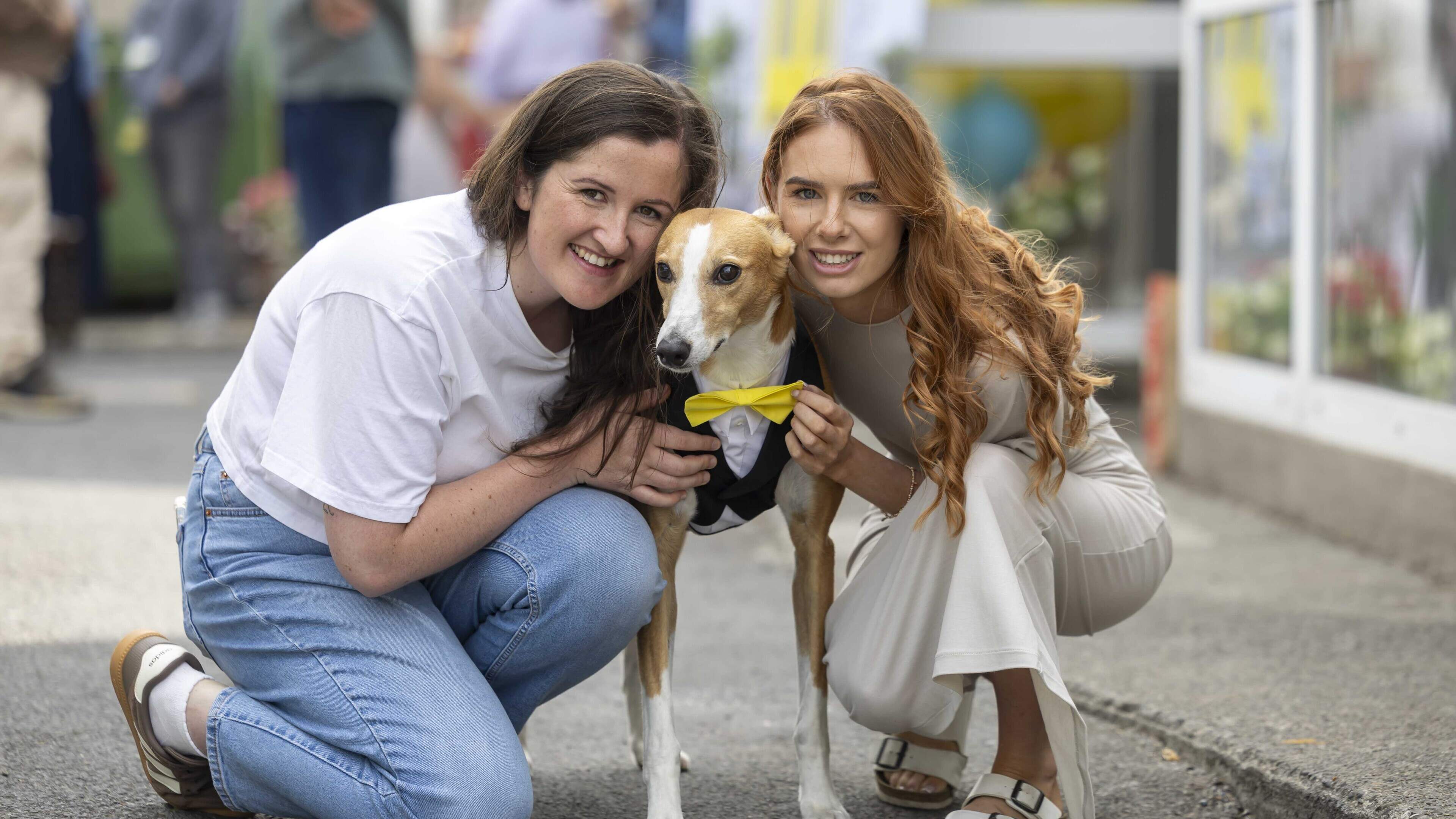 How one rescue dog is making a difference at a homeless service in Tipperary