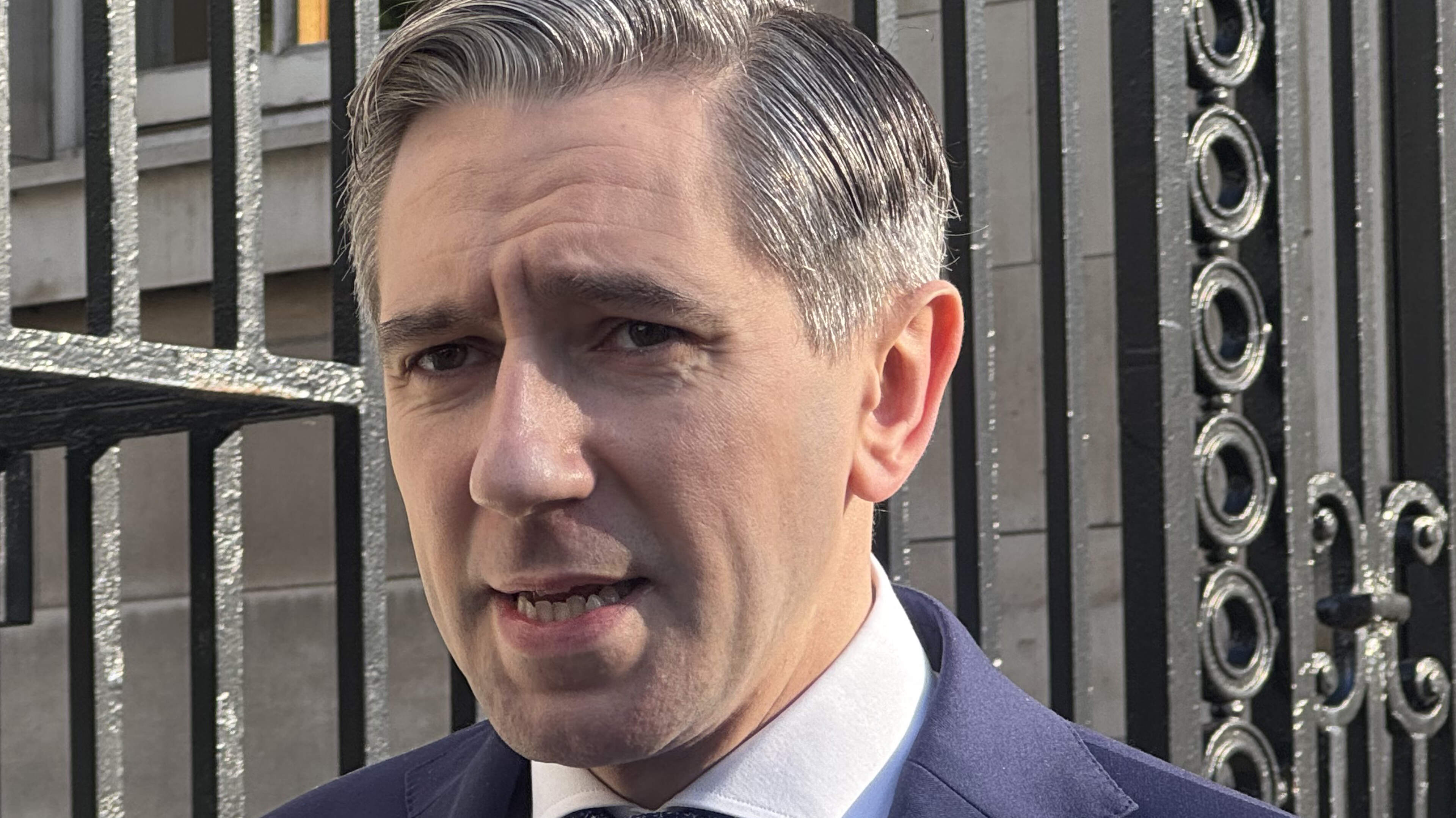 Tánaiste says TDs should have more free votes on matter of conscience - but says this does not include a ban on evictions