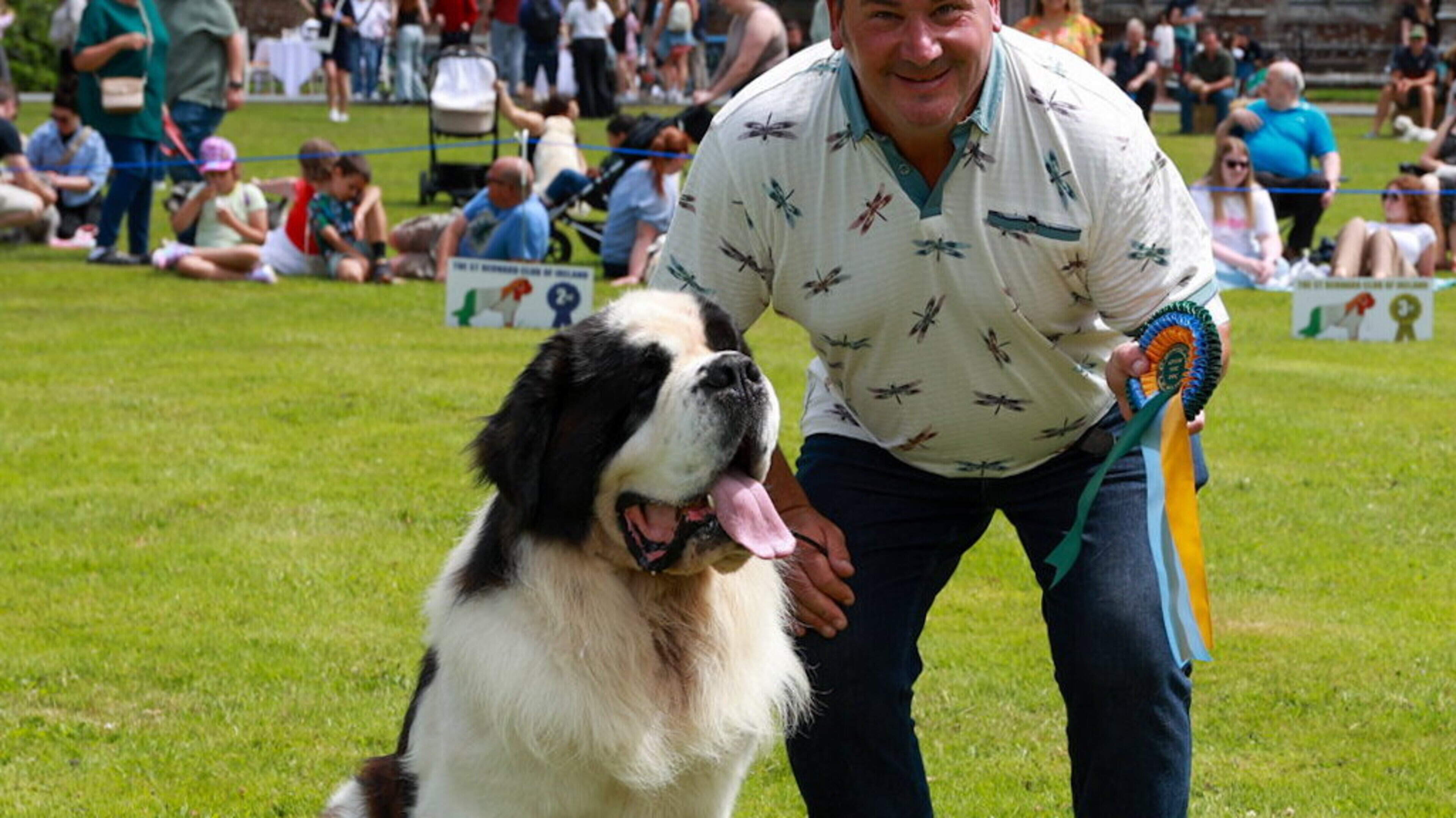 Dog lovers in Wexford celebrate all breeds, shapes and sizes at inaugural ‘Doggie Day Out’