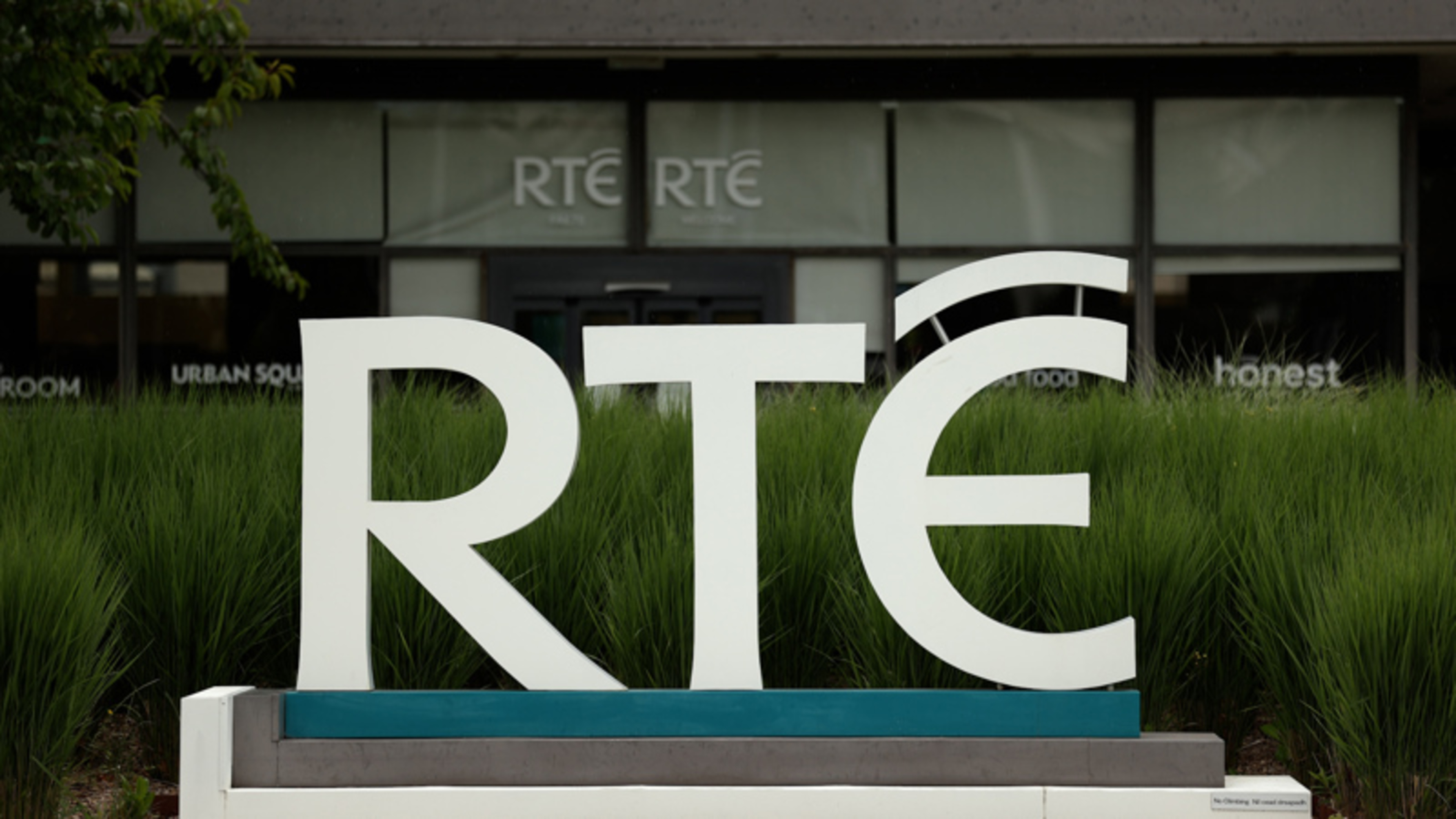 RTÉ to ask State for bigger bailout, as one in five households now has no TV