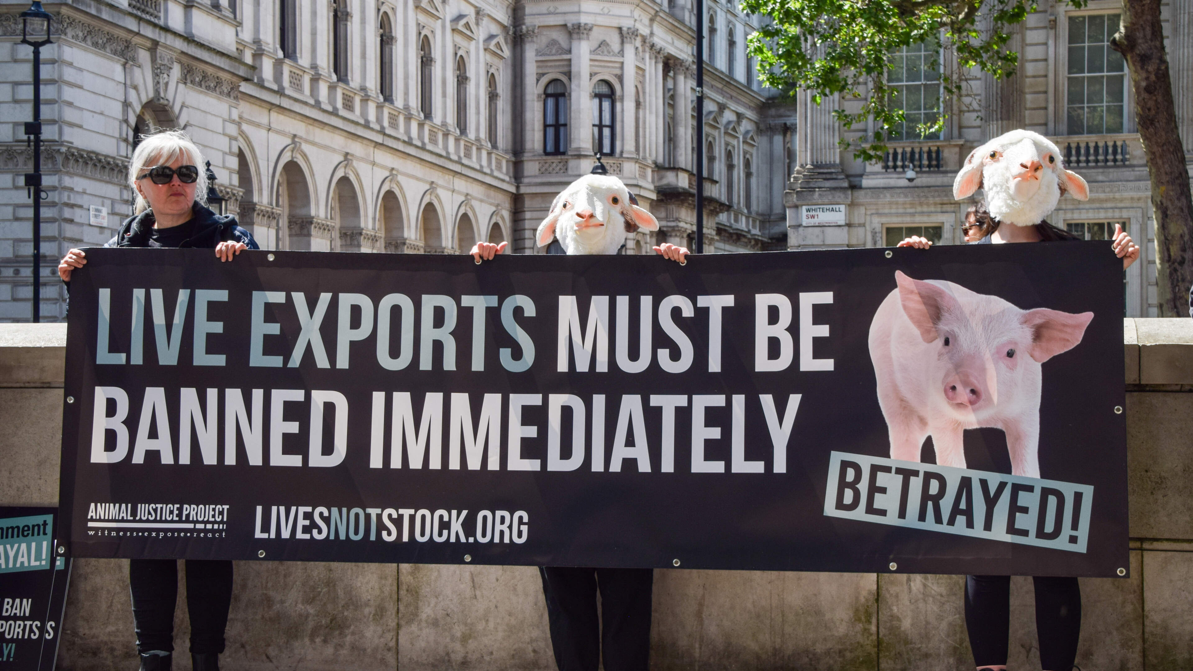 Peter Hynes: I can’t understand why anyone is surprised by Brittany Ferries’ decision to cease live-animal exports