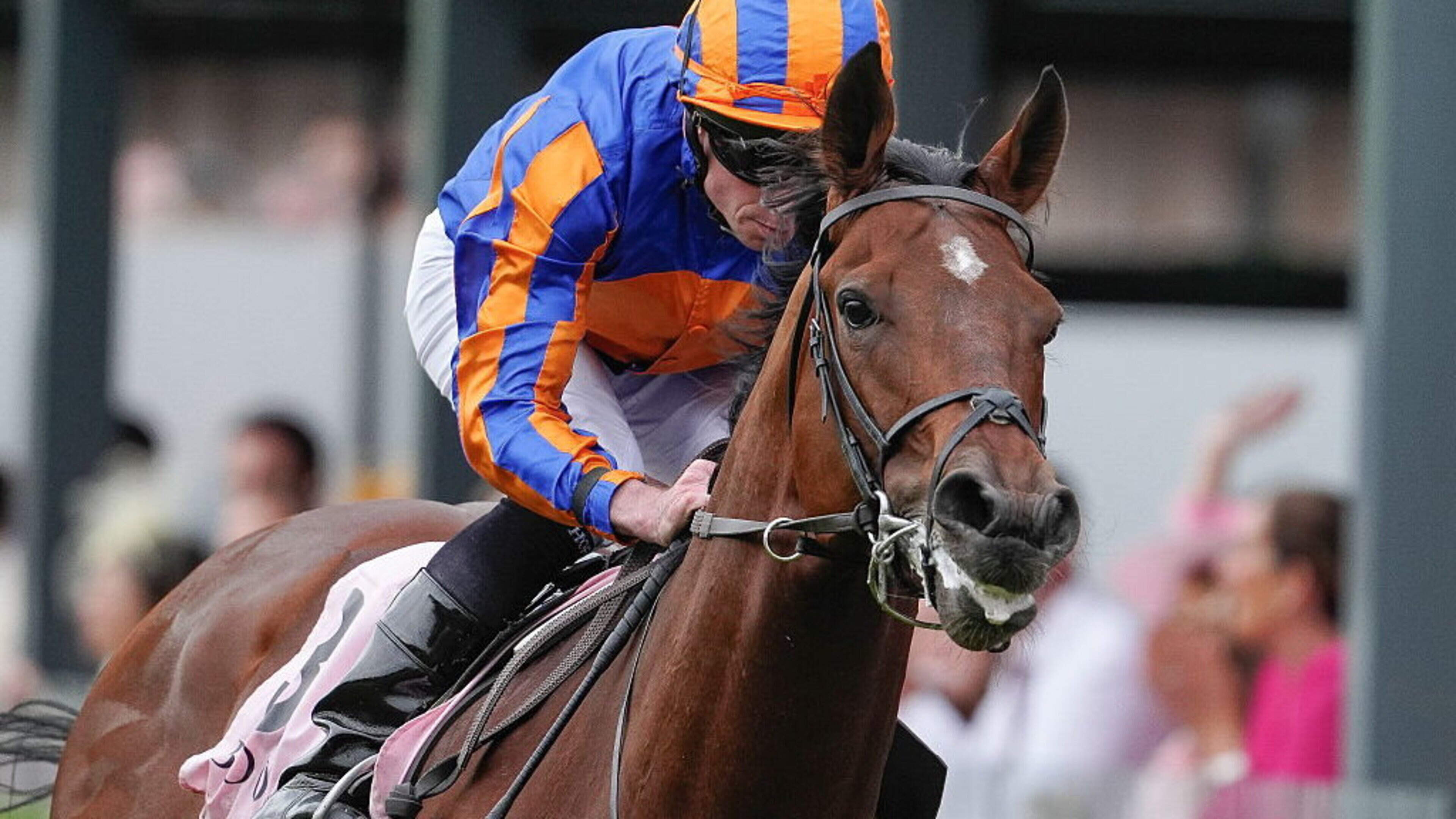 ‘We weren’t sure he’d stay’ — Aidan O’Brien says French rather than English Derby the way to go for Constitution River