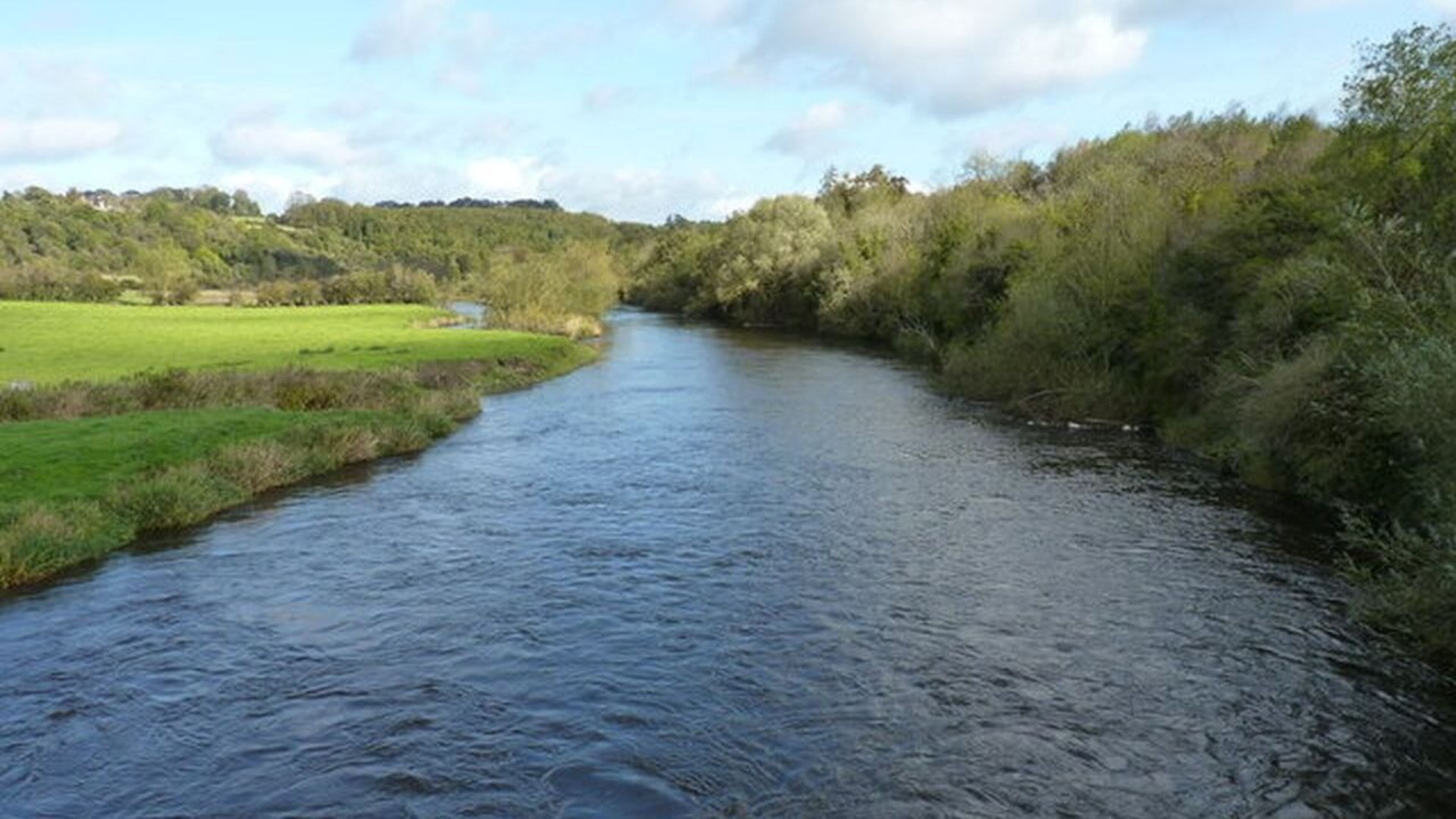 Boyne salmon revival: restoration of 18km of spawning beds shows early success