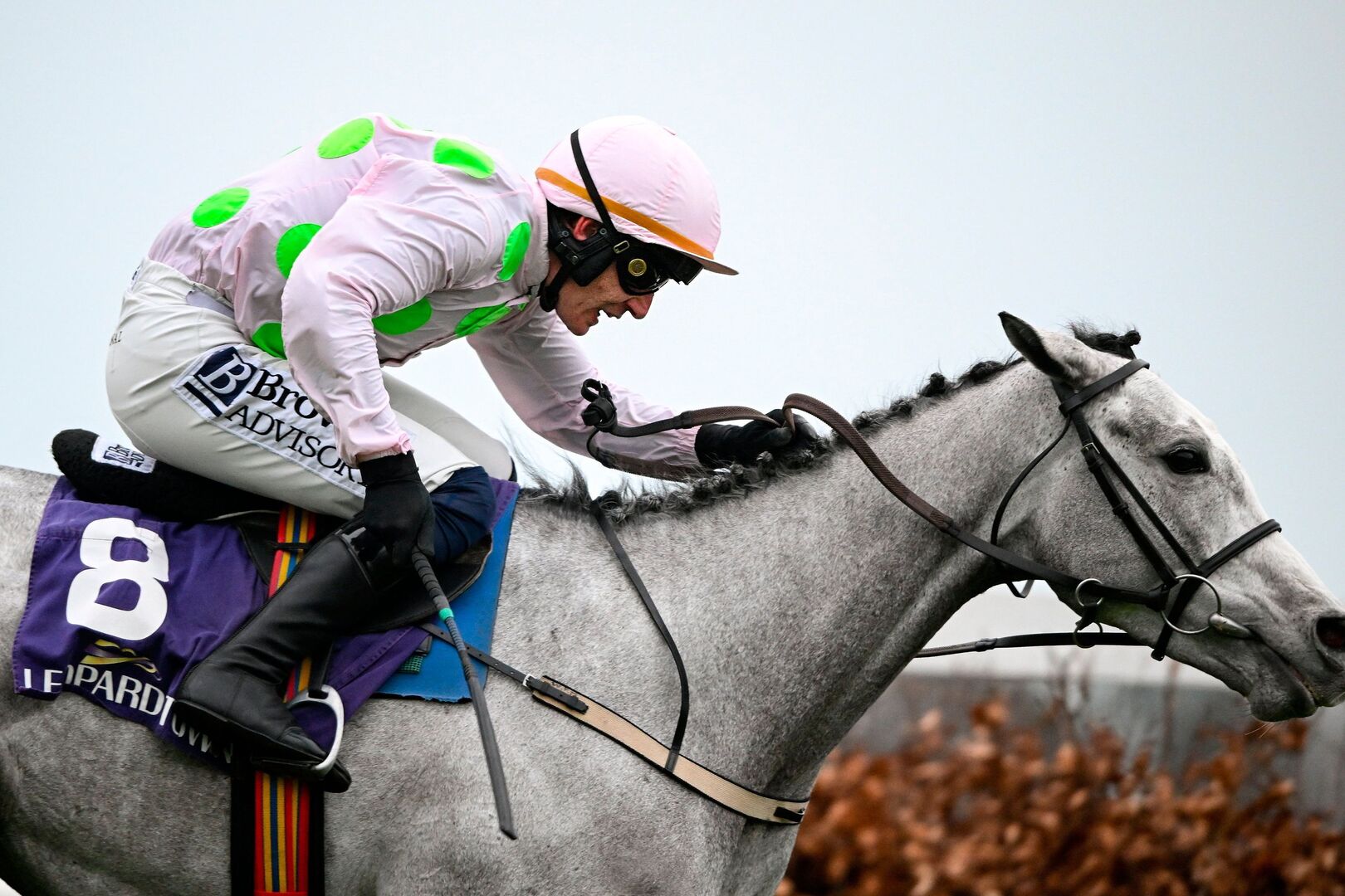 Willie Mullins’ Lossiemouth jointly leads betting after nine ...