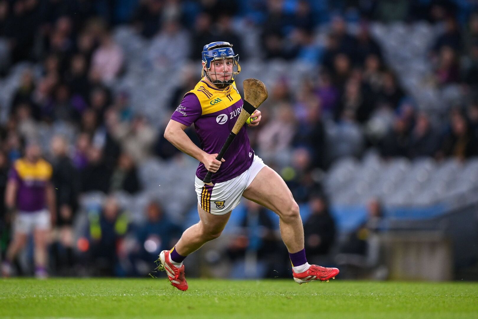 The county-by-county guide to the Munster and Leinster hurling ...