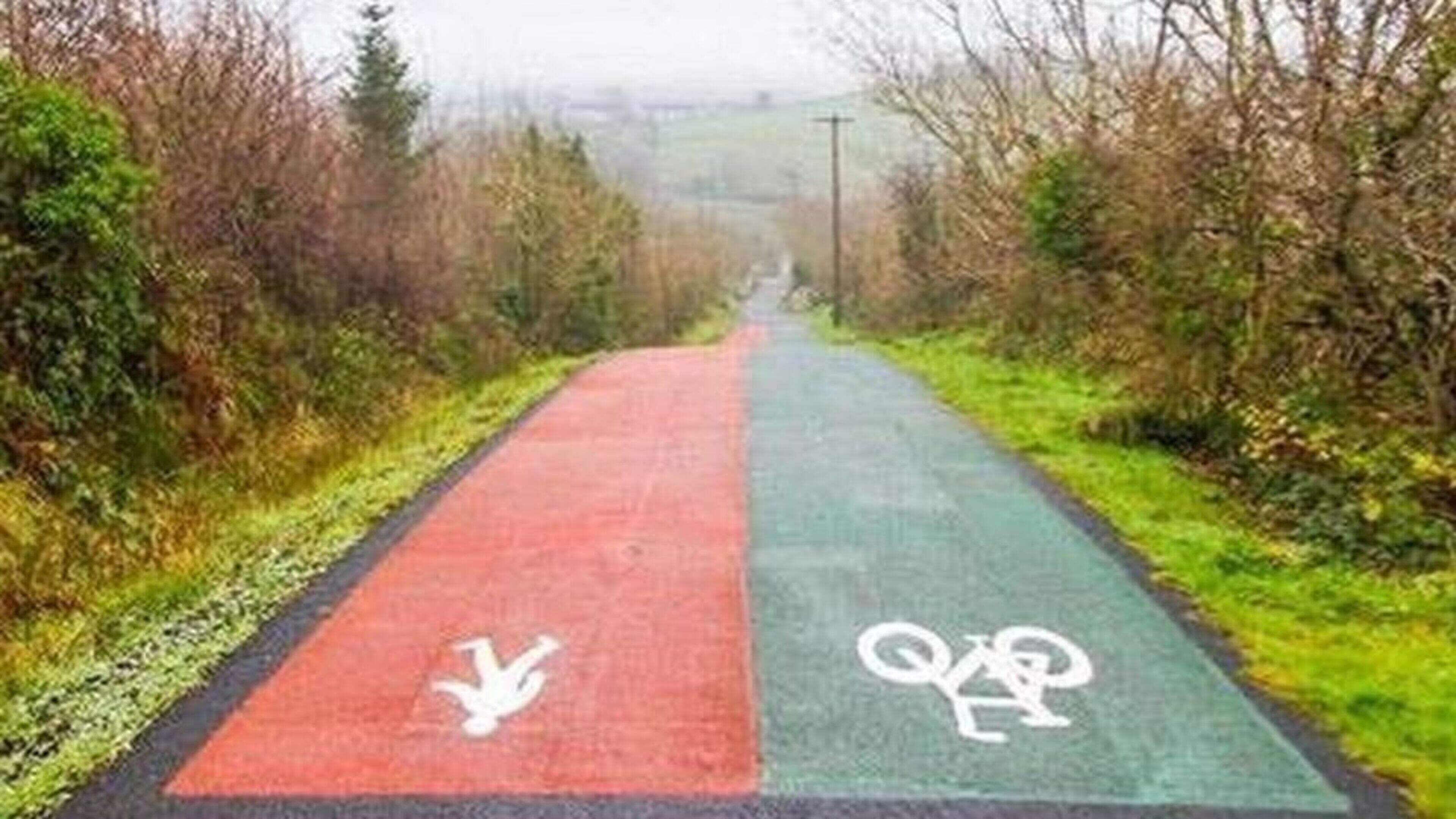 South Wicklow greenway momentum questioned as councillors await key project timelines