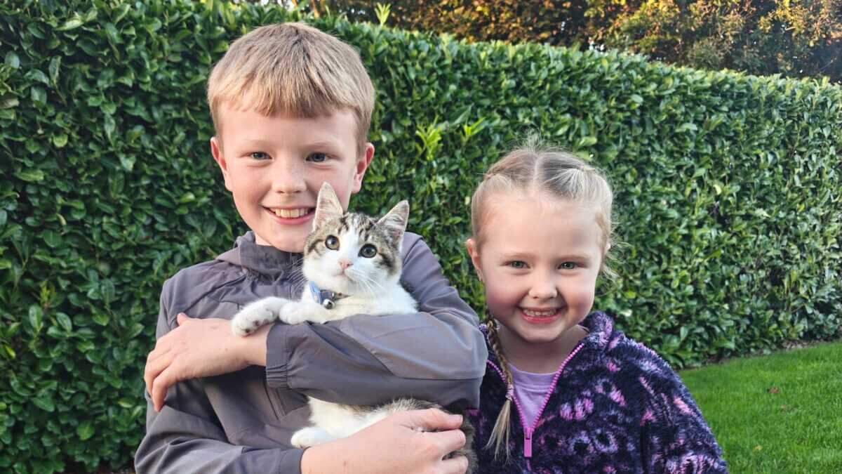 ‘There was a lot of crying' – Missing kitten that was rescued from a skip turns up 28 miles from home