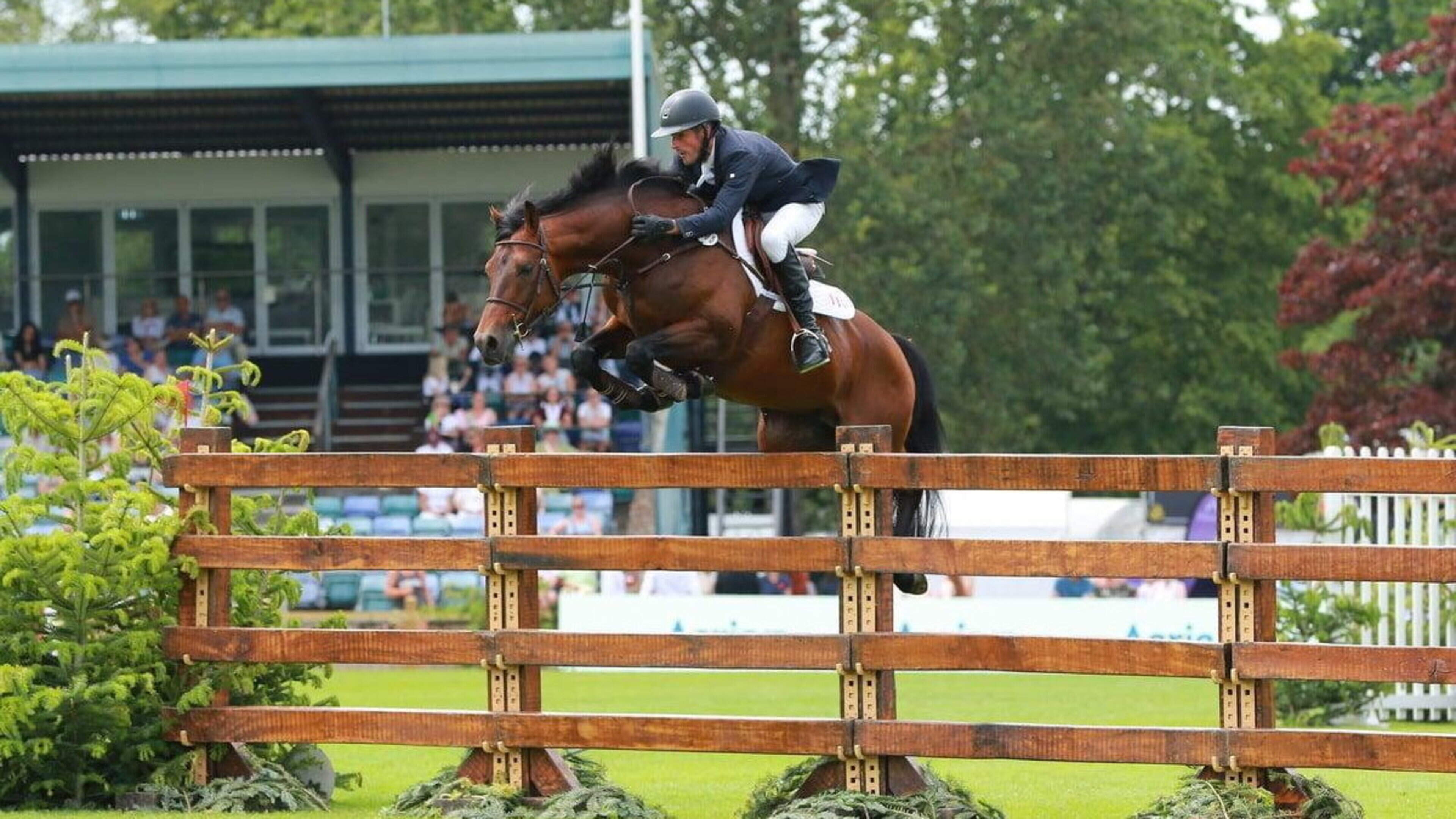 ‘Wexford was where I felt most home’ – Former pony club rider’s journey to the global stage