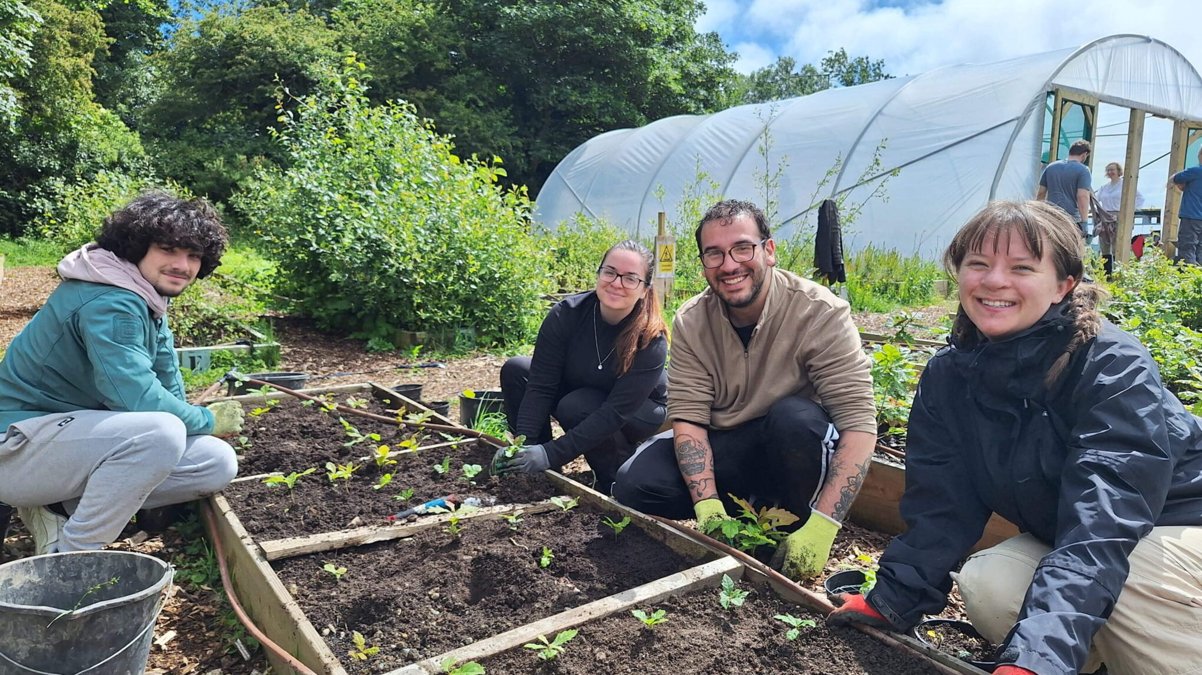 Guided tour to showcase 25 varieties of native trees grown from Wicklow seed