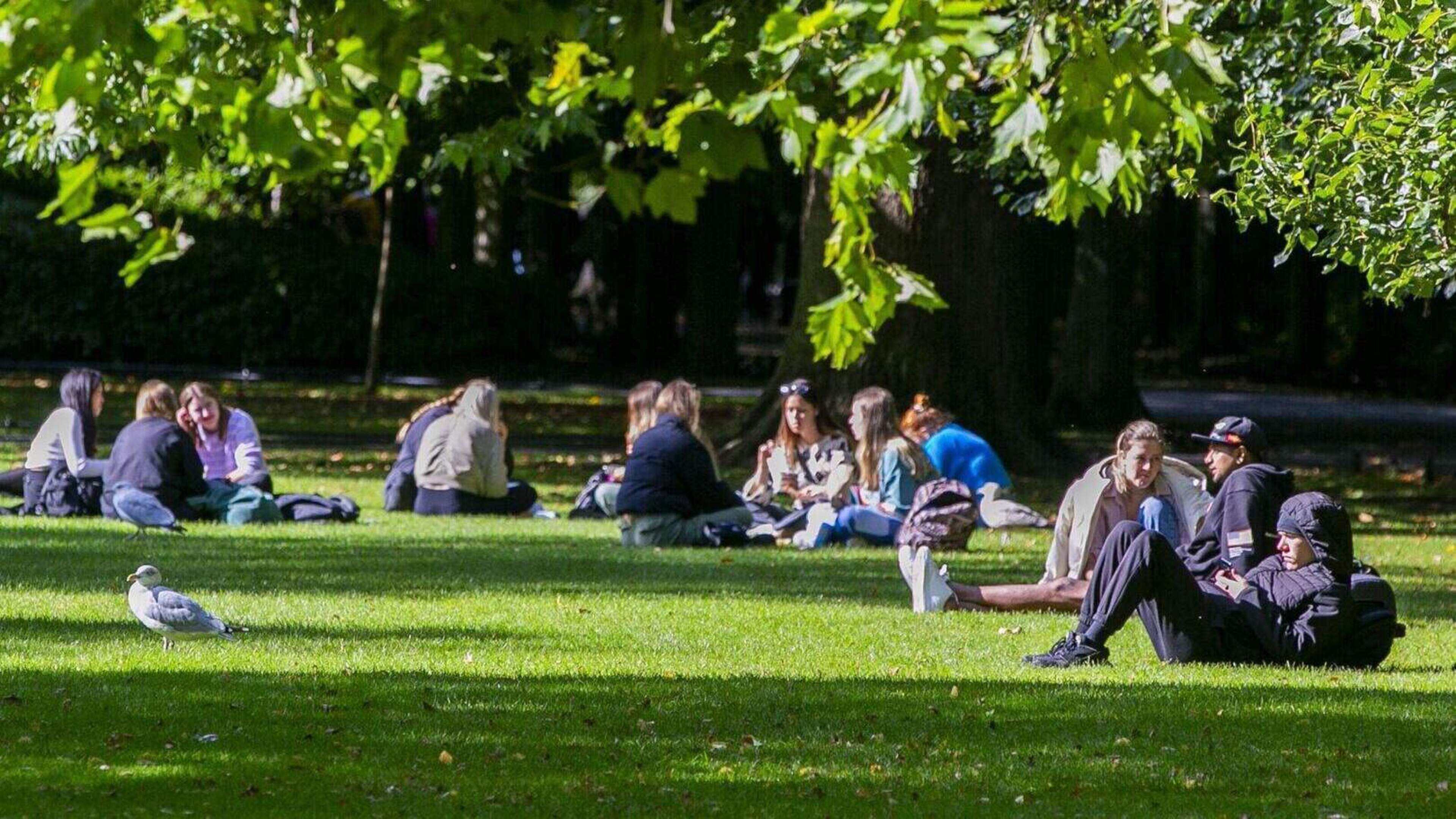 Met Éireann issues Status Yellow High Temperature warning for Ireland