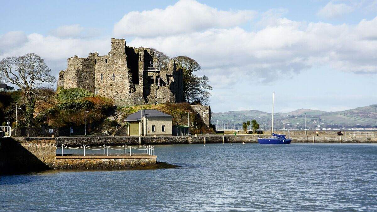 Fáilte Ireland under fire for omitting Louth from Ireland’s Ancient ...