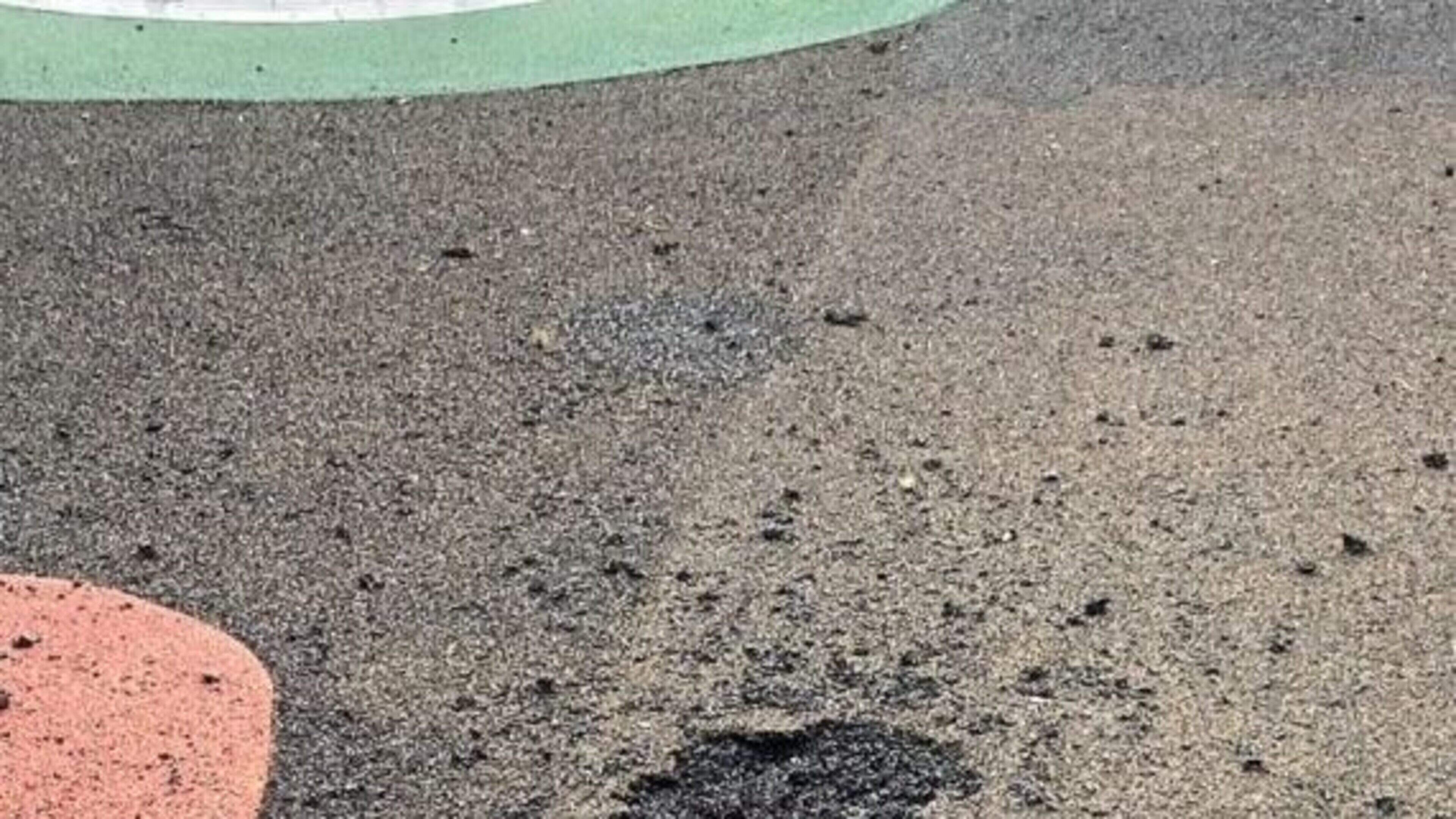 Anger in Cork community as a much-loved playground falls prey to vandals again - ‘it is a disgrace’