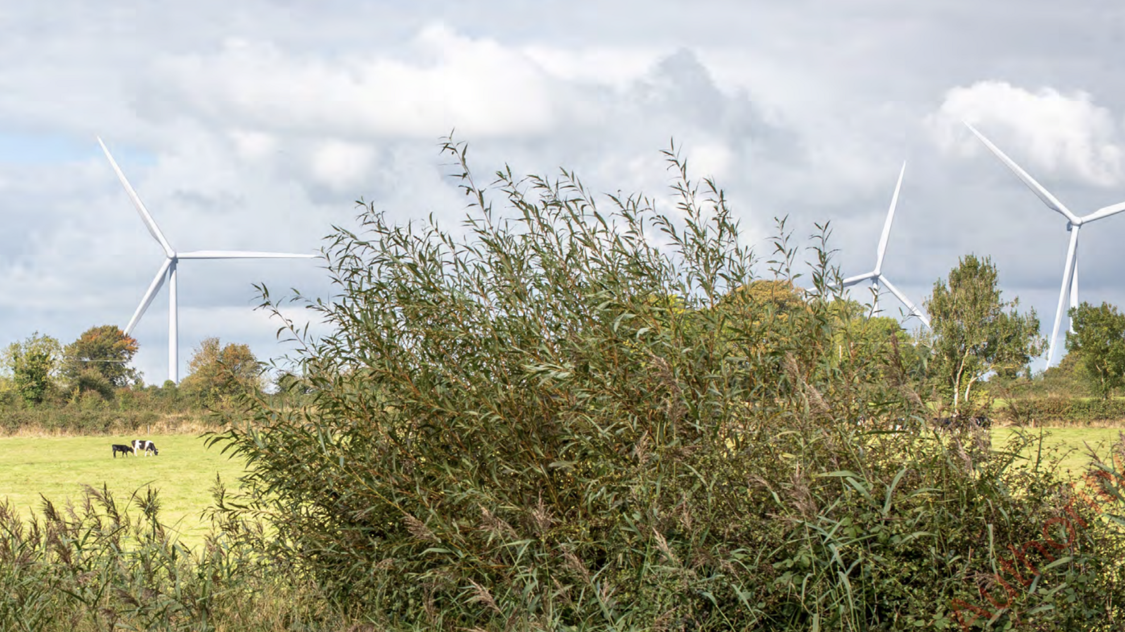 Plans lodged for wind farm in Tipperary that could power mor