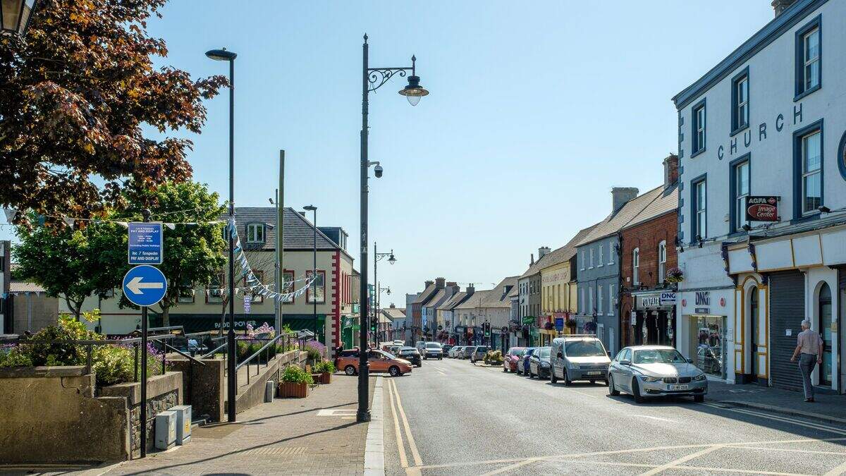 Two Wicklow buildings set for derelict register in town under An Taisce scrutiny