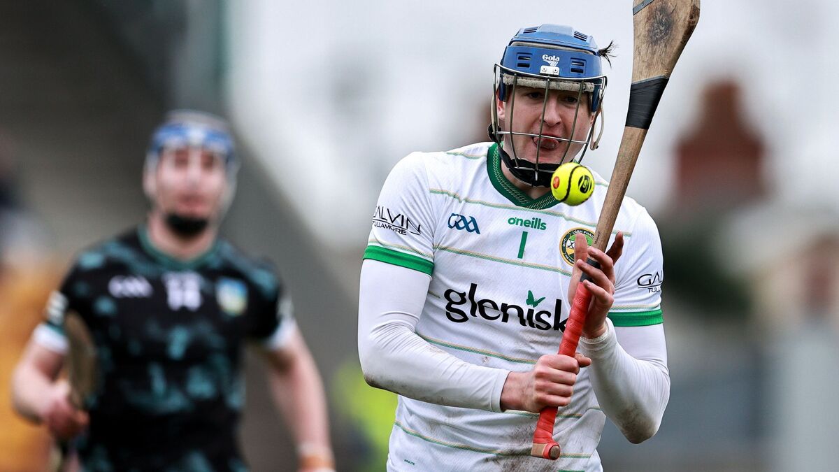 ‘We're at the bottom and we have to keep climbing' — goalkeeper Liam Hoare on Offaly's hurling ambitions