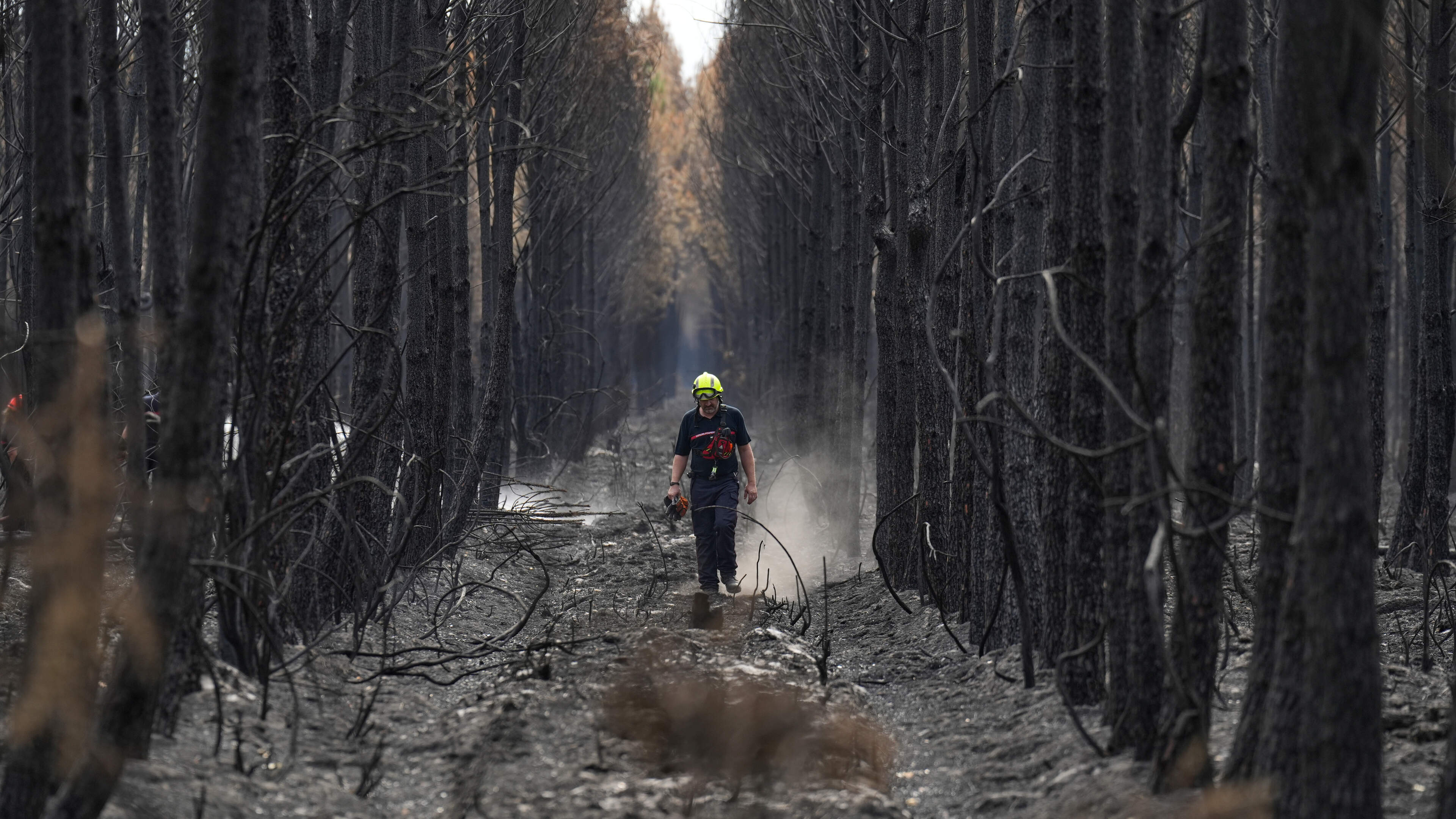 Kathy Donaghy: Our trip to Bordeaux as wildfires raged all around hammered home the horrifying reality of climate change 