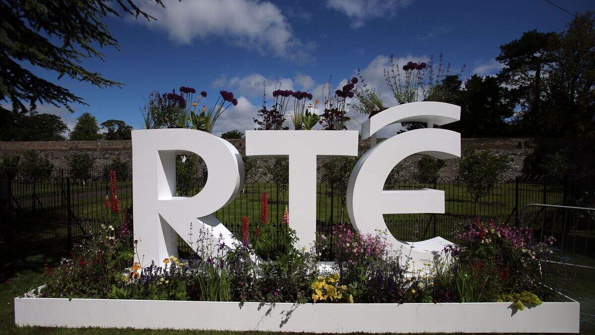 Pro-Palestine protesters enter RTÉ buildings in Dublin | Irish Independent