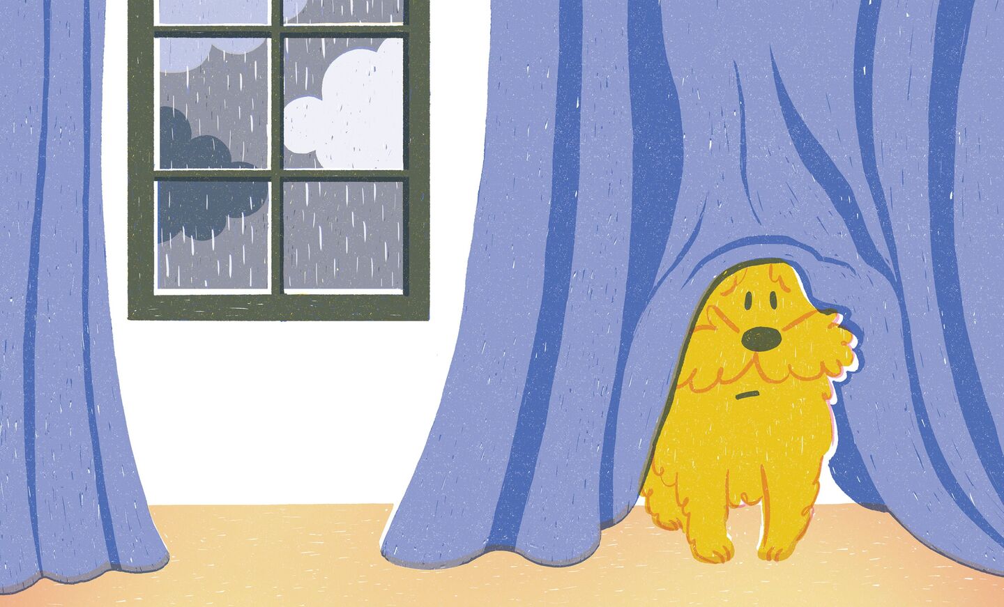 Sarah Webb: 25 brilliant bedtime reads for your kids | Irish Independent