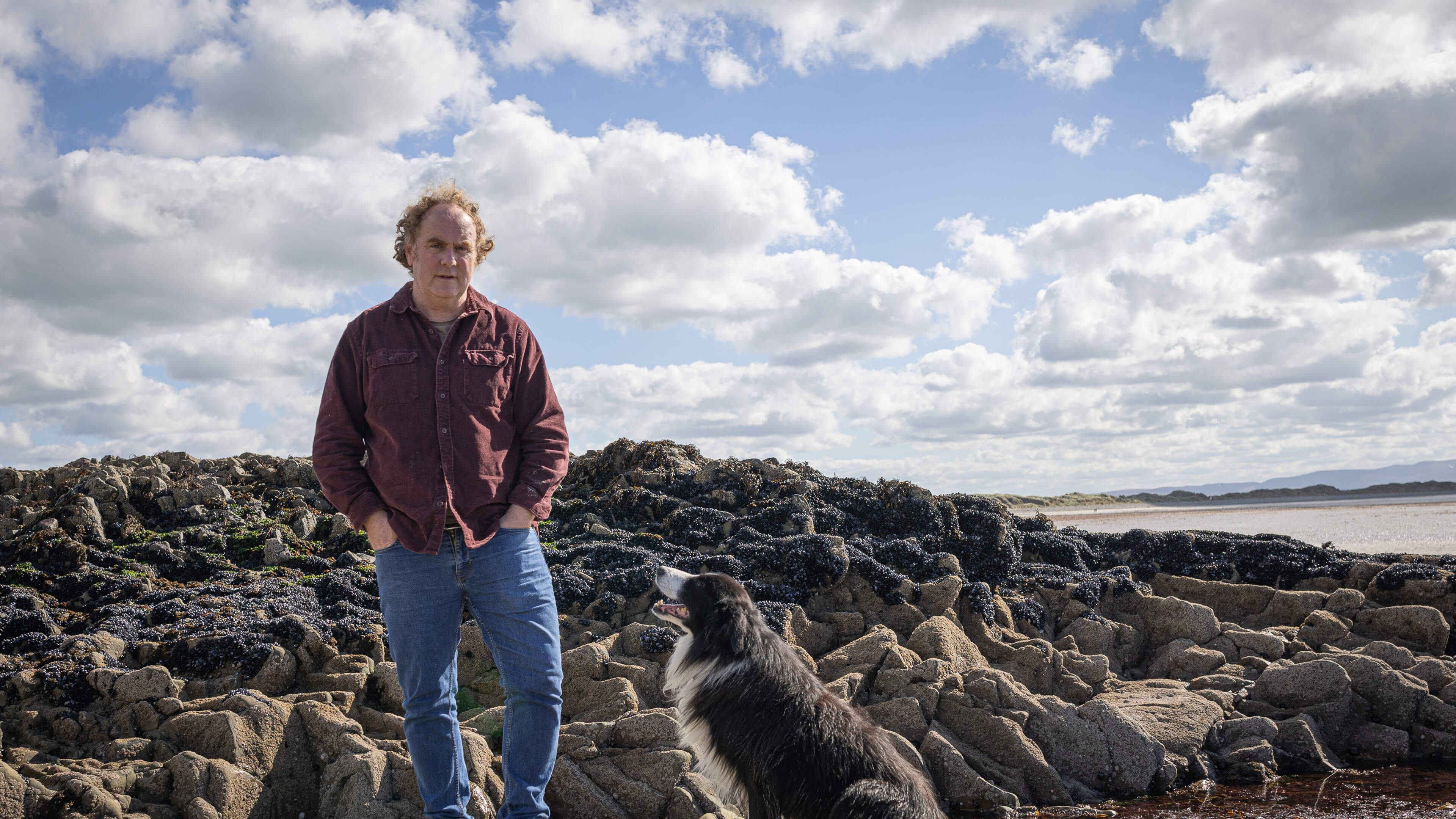 How a stray sheepdog helped a grieving son overcome loss