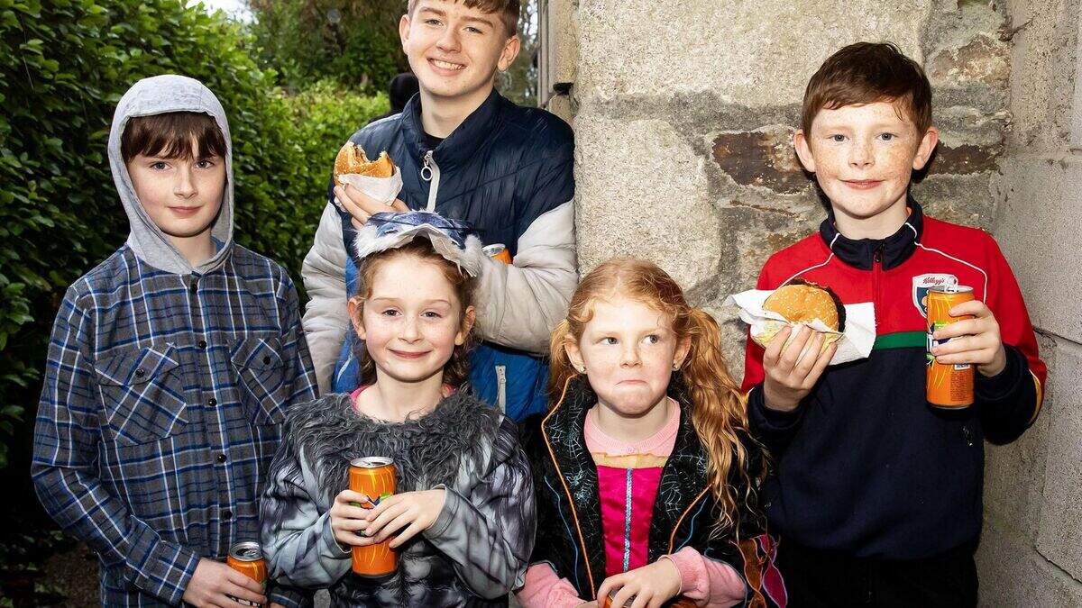 Wexford festival celebrates impact colourful local woman had on the ...