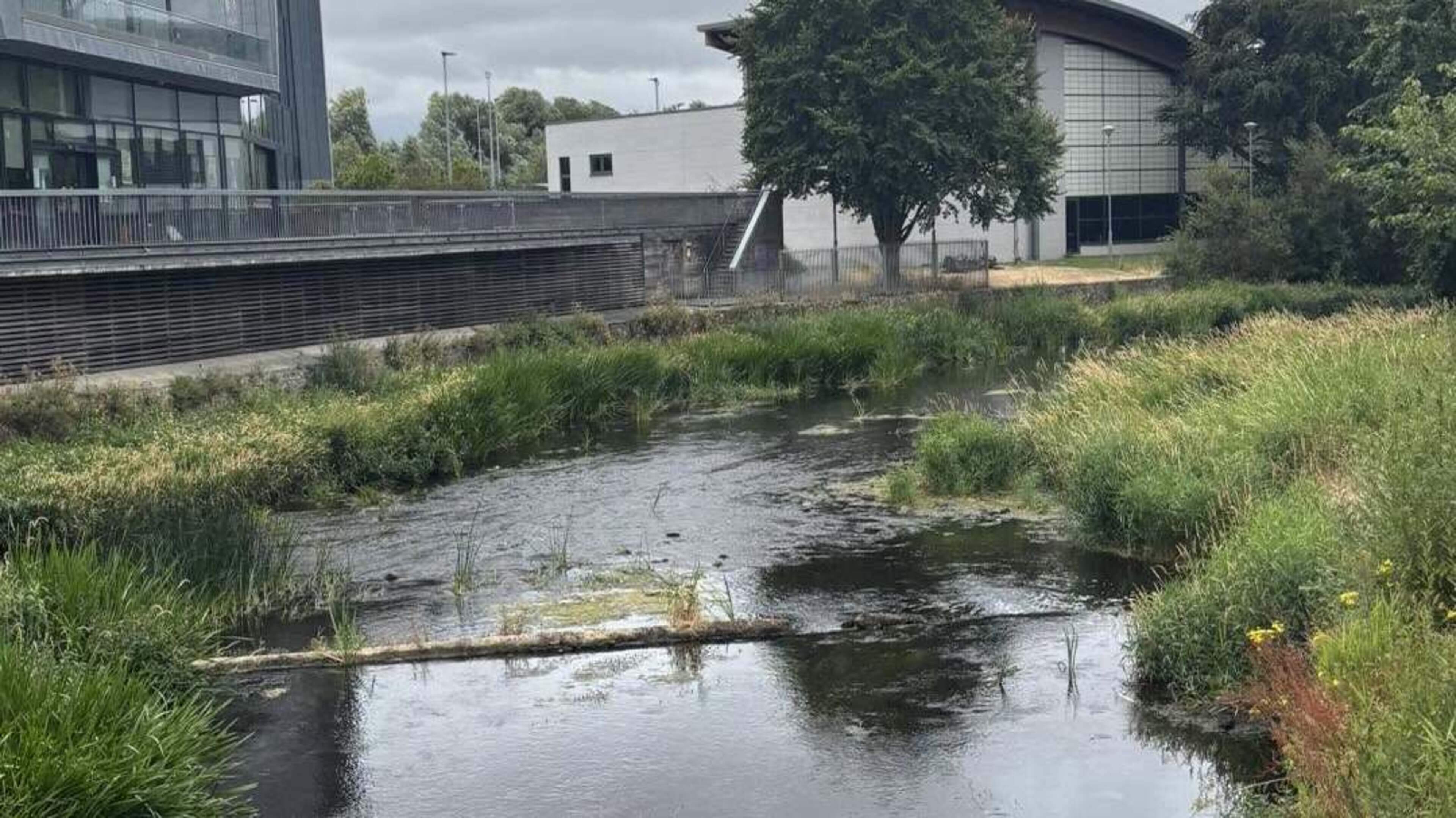 Government to fully fund ‘eyesore’ Tipperary river clean-up after years of concerns