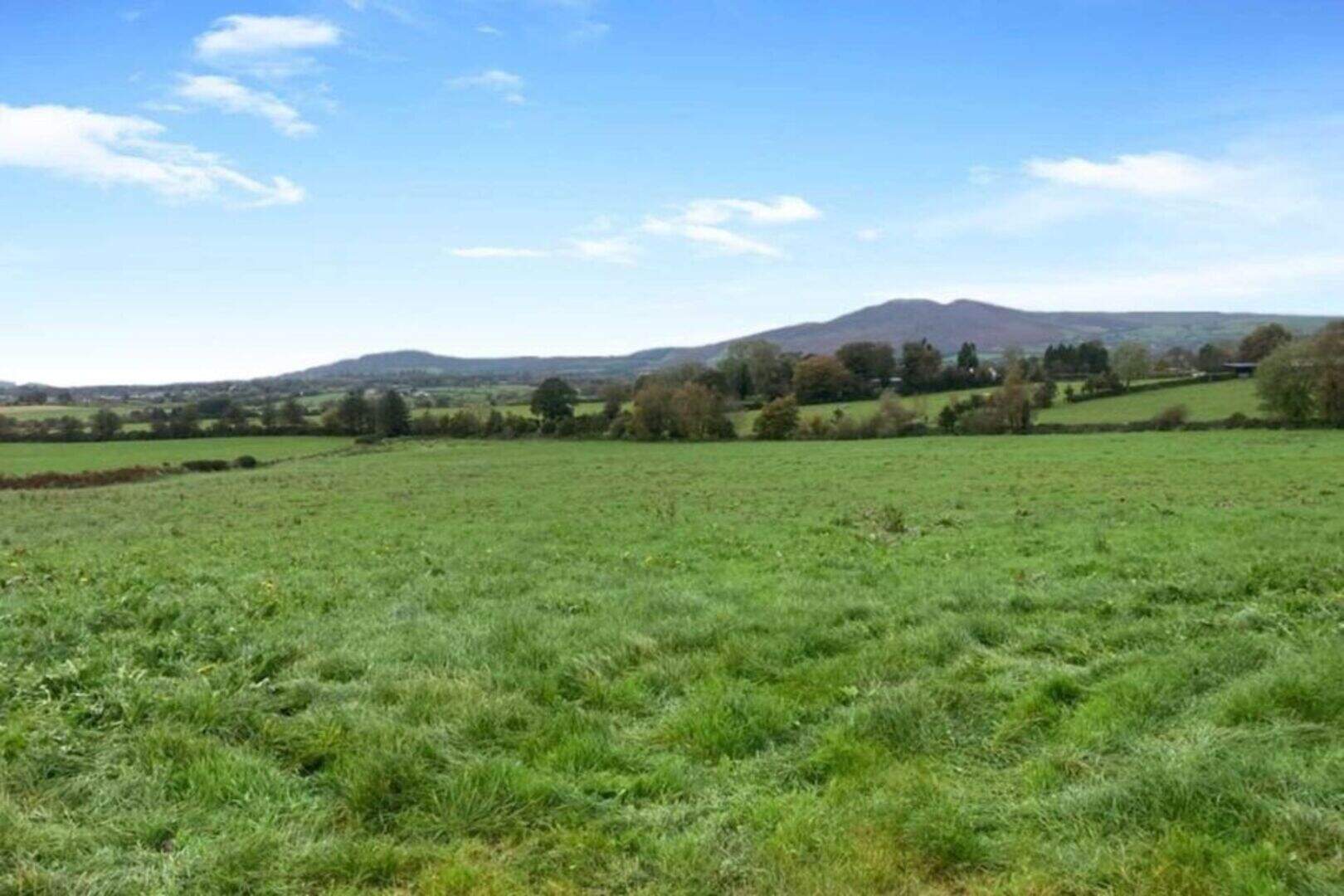 Revenue raises less than €50m in opening year of land-hoarding tax ...
