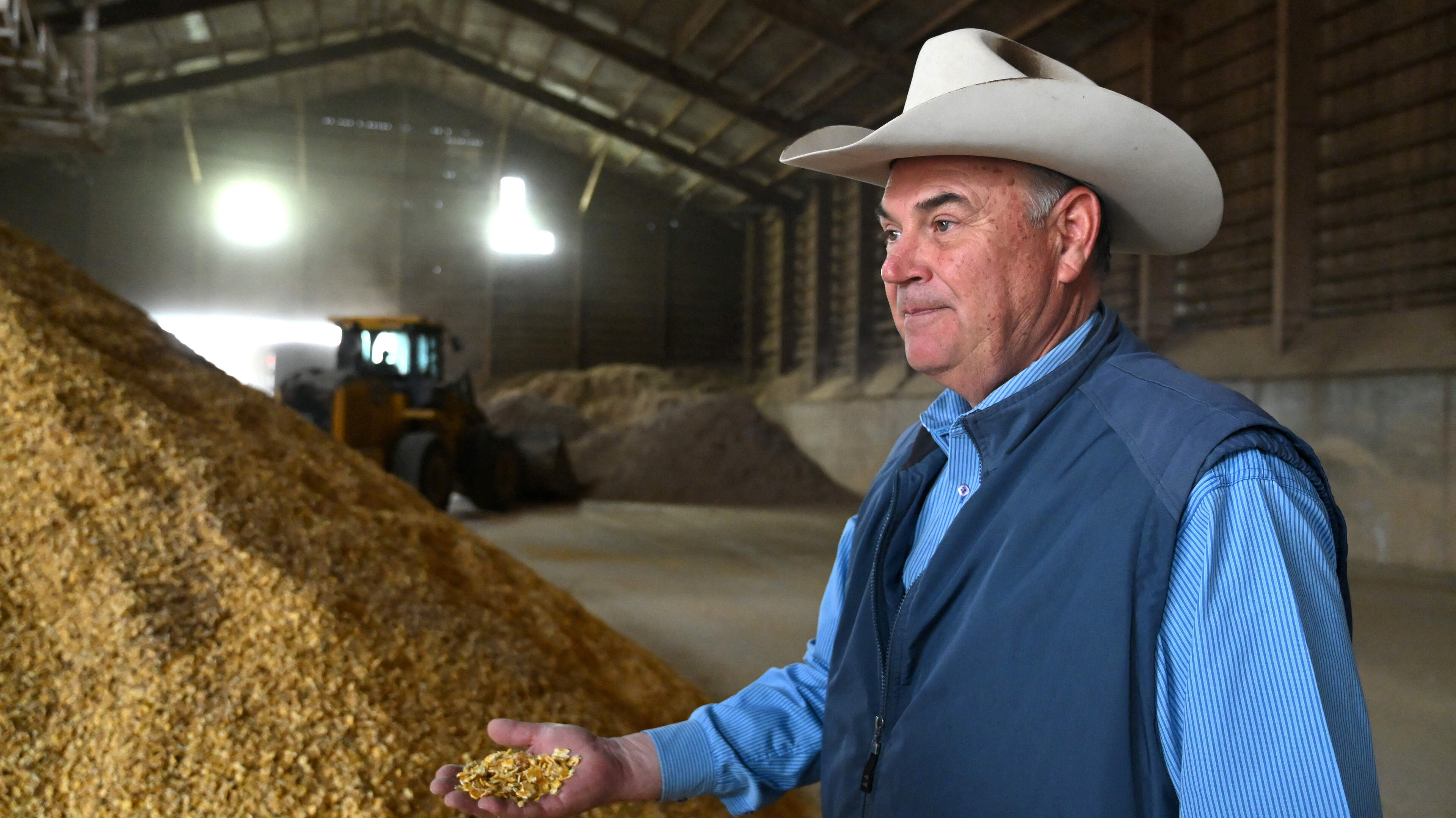 Screwworm border closure fuels beef boom in Mexico, gloom in