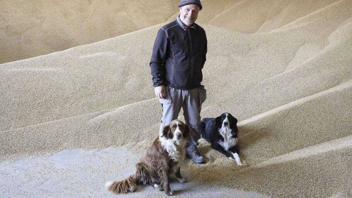 Biological farming in Ireland now has the ultimate guide | Irish ...