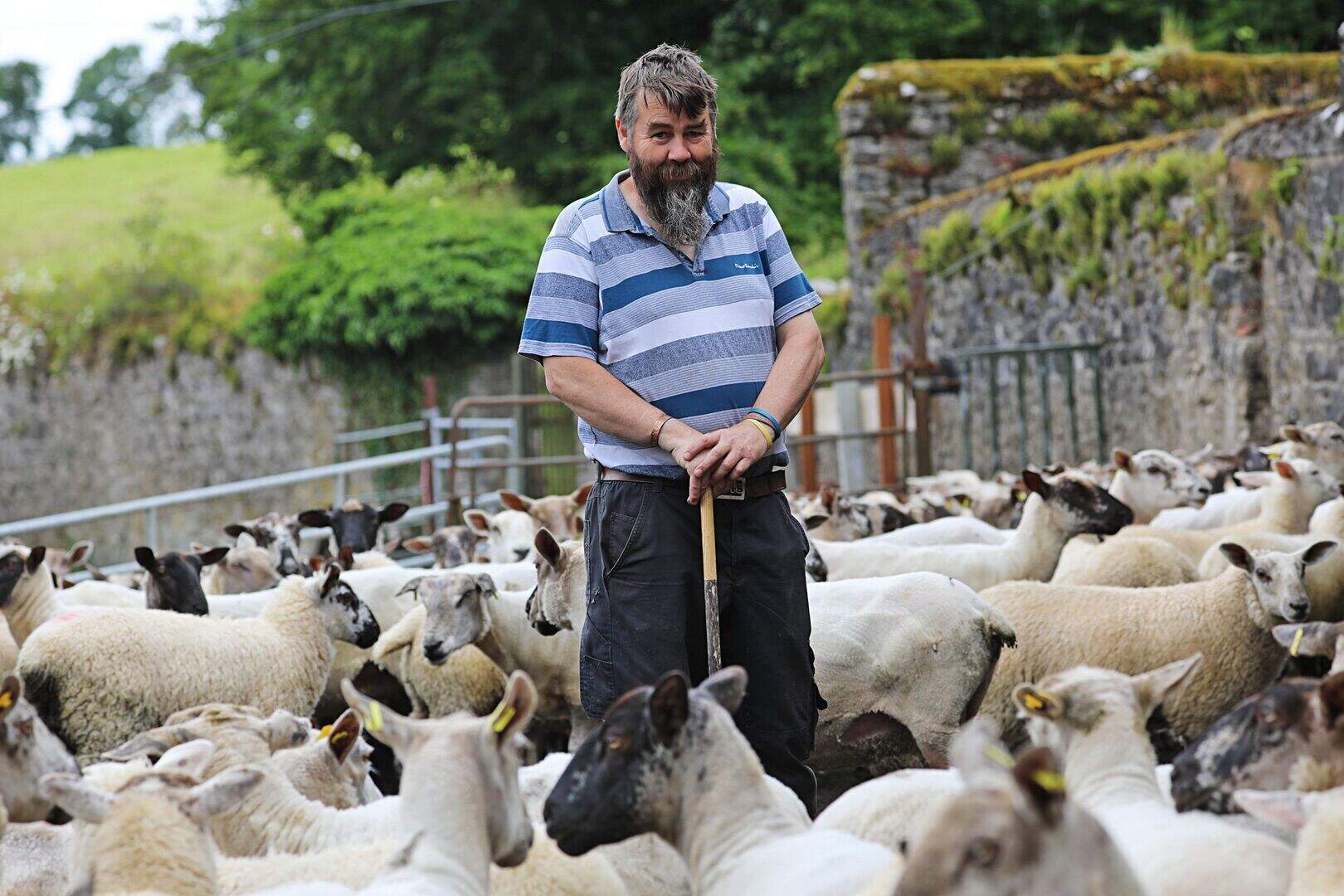 ‘After years of abuse, working on the farm is the reason I’m alive ...