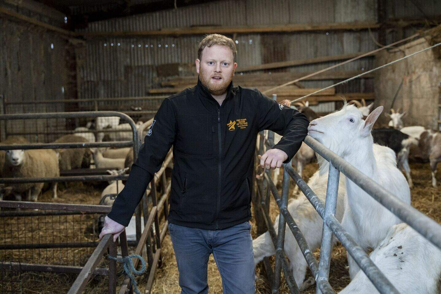 Meet the award-winning Limerick farmer bringing the goat sector to the ...
