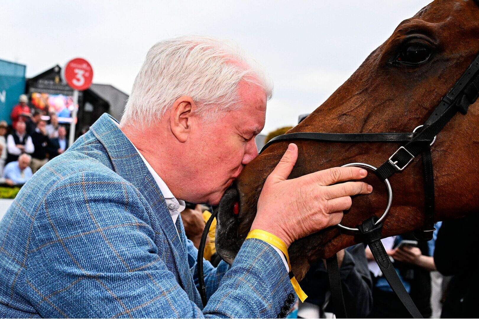 Punchestown Day 3: Teahupoo goes back-to-back for Gordon Elliott with ...
