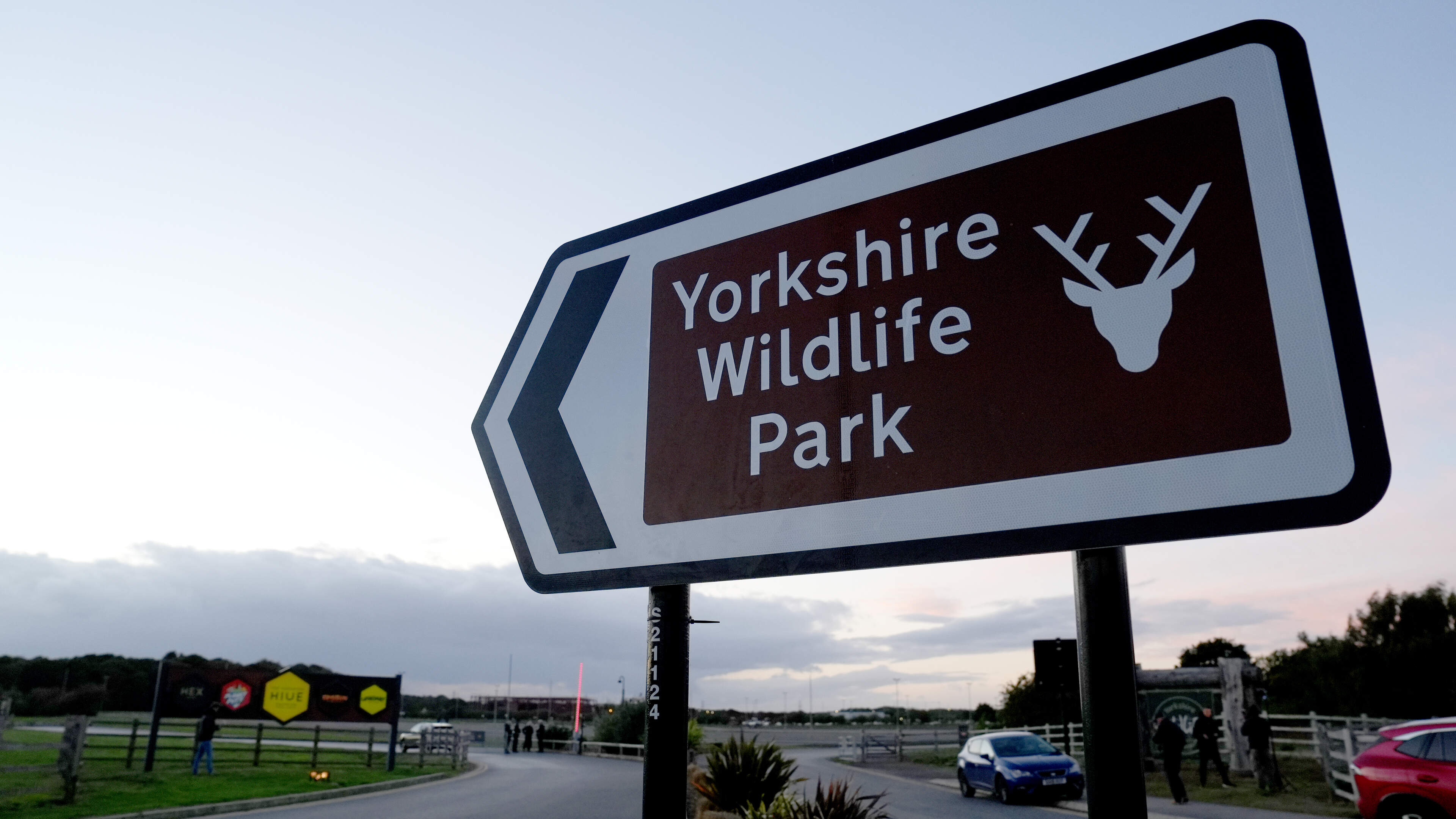 Man killed by tiger ‘danced before jumping’ into enclosure, witnesses say