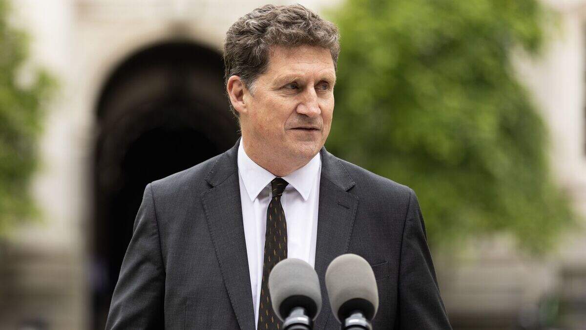 Eamon Ryan accused of failing to sign off on €50m retrofit scheme ...