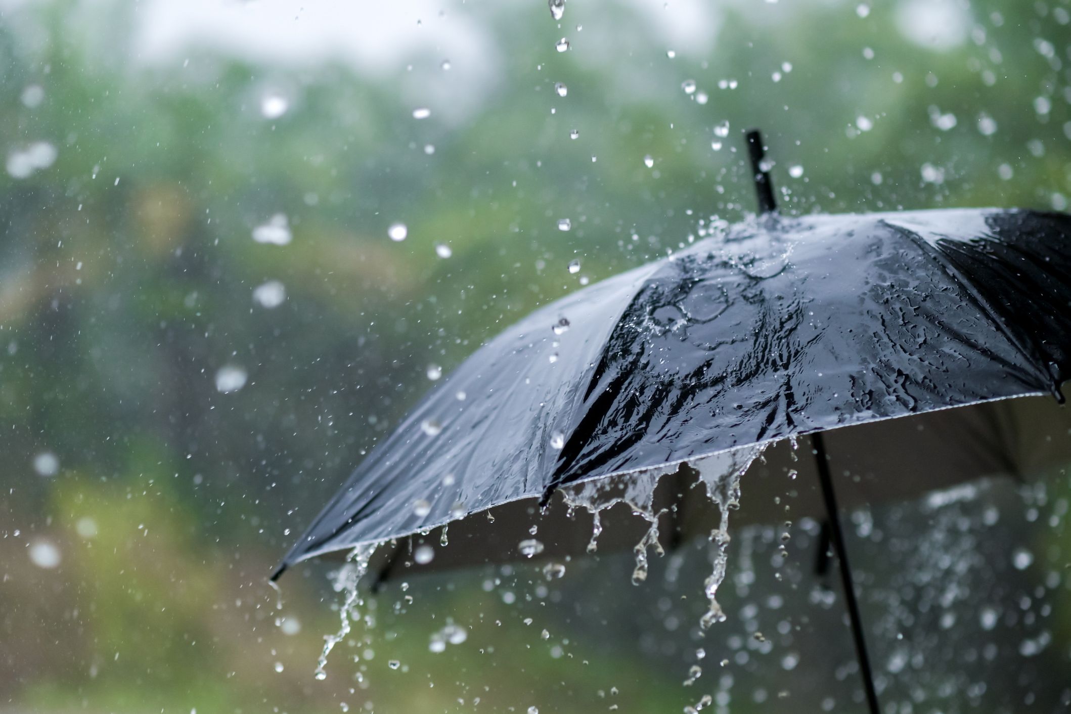 Dull and wet bank holiday Monday as unsettled weather forecast for the coming week
