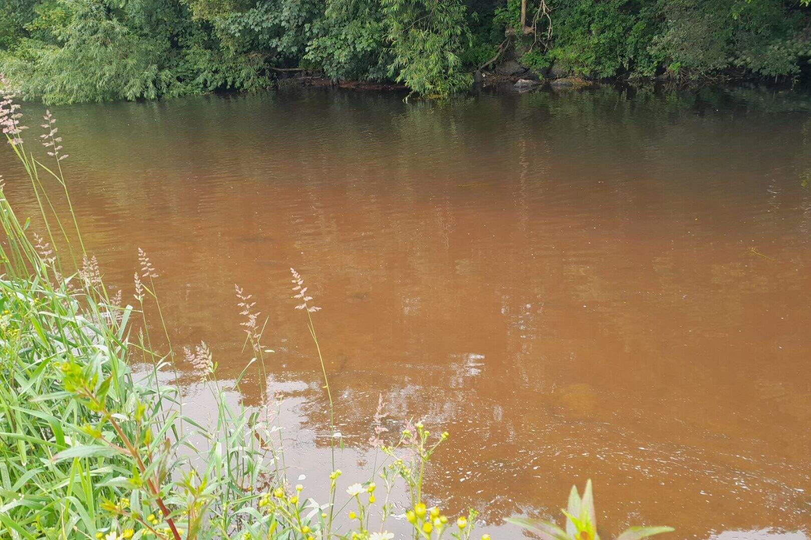 Investigations ongoing after Cork river polluted just over year after ...