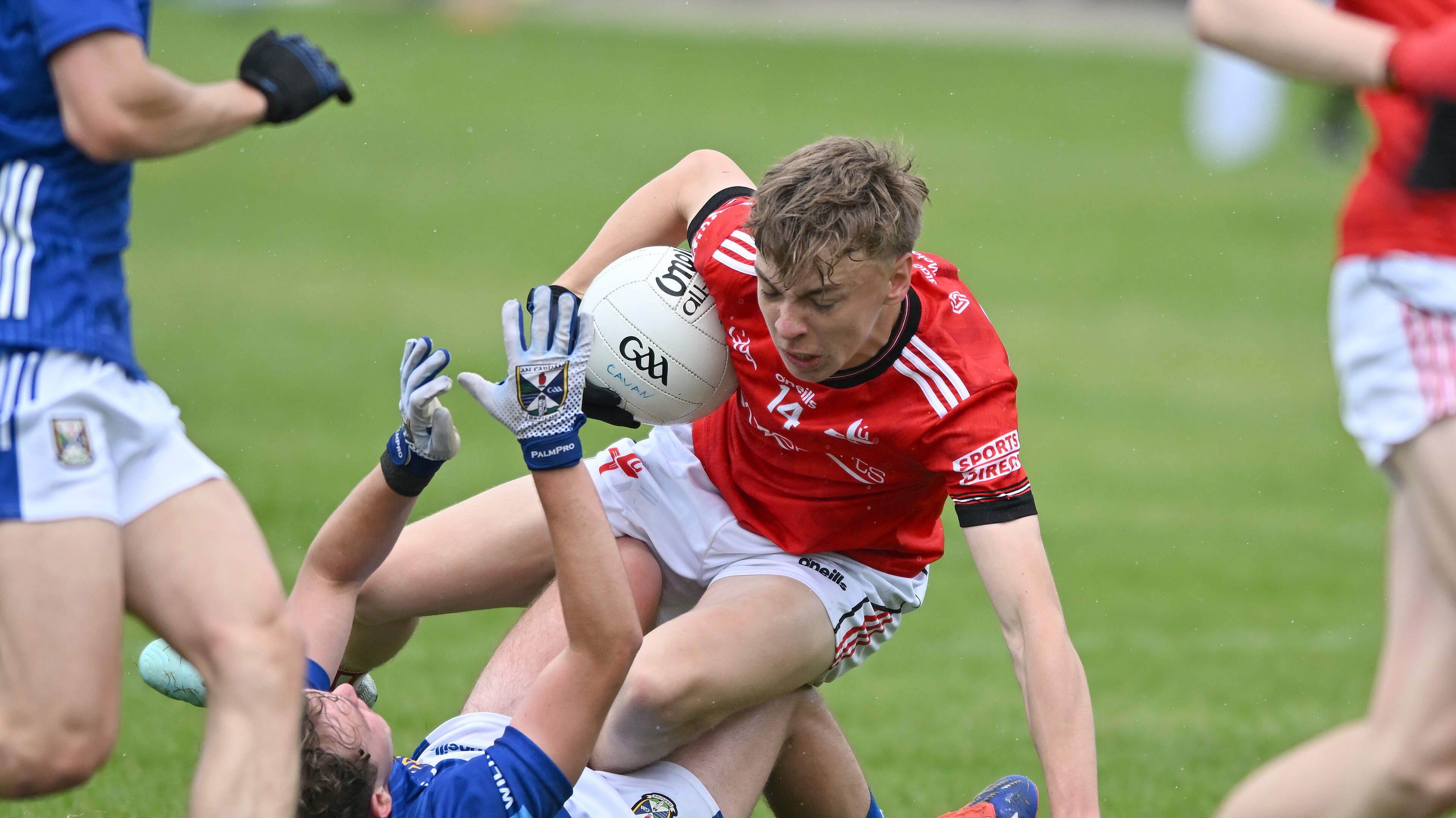 Louth put Leinster woes behind them as they prove too good for Cavan 