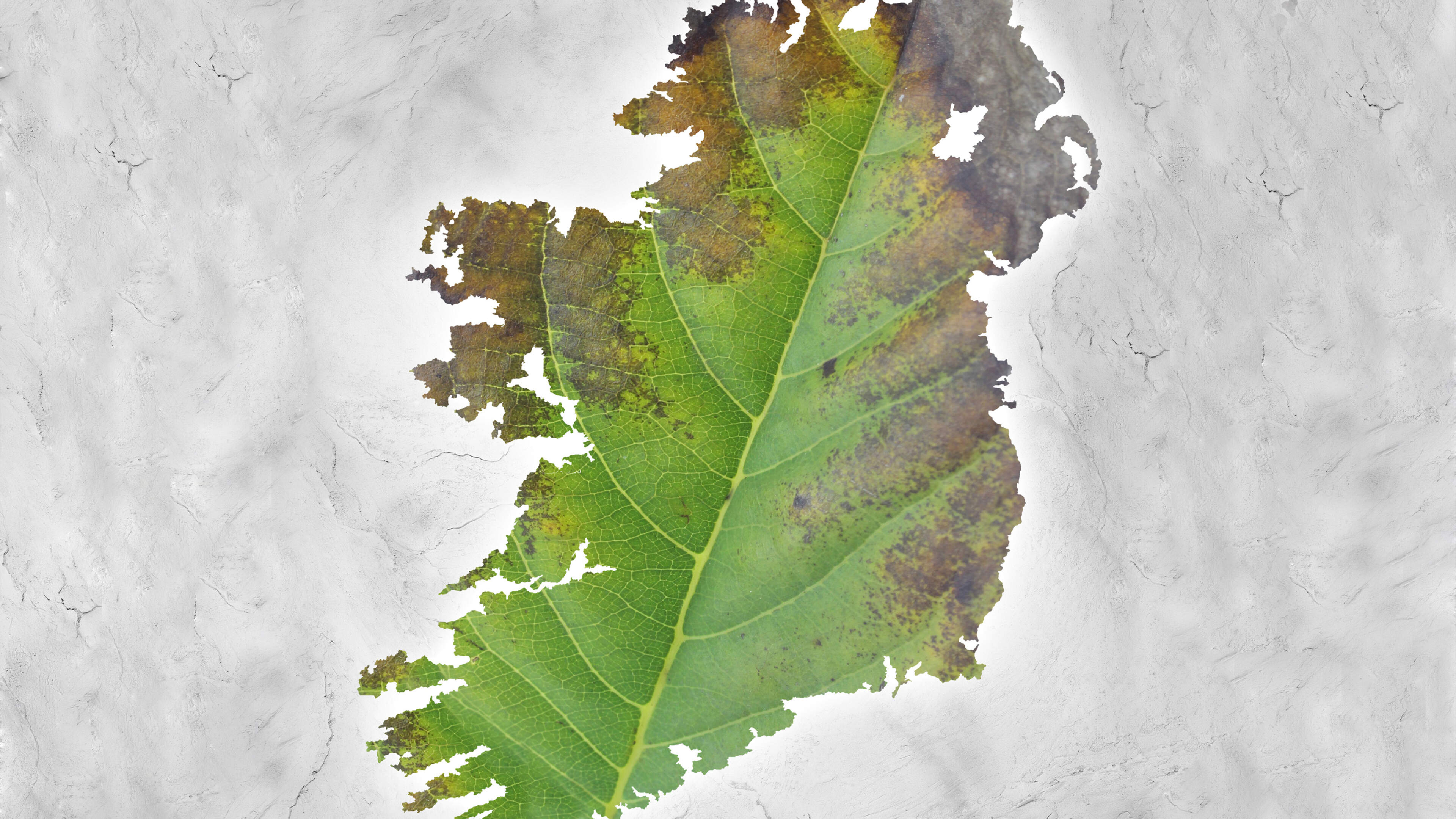 The great green retreat: Is this Government done with trying to save the planet?