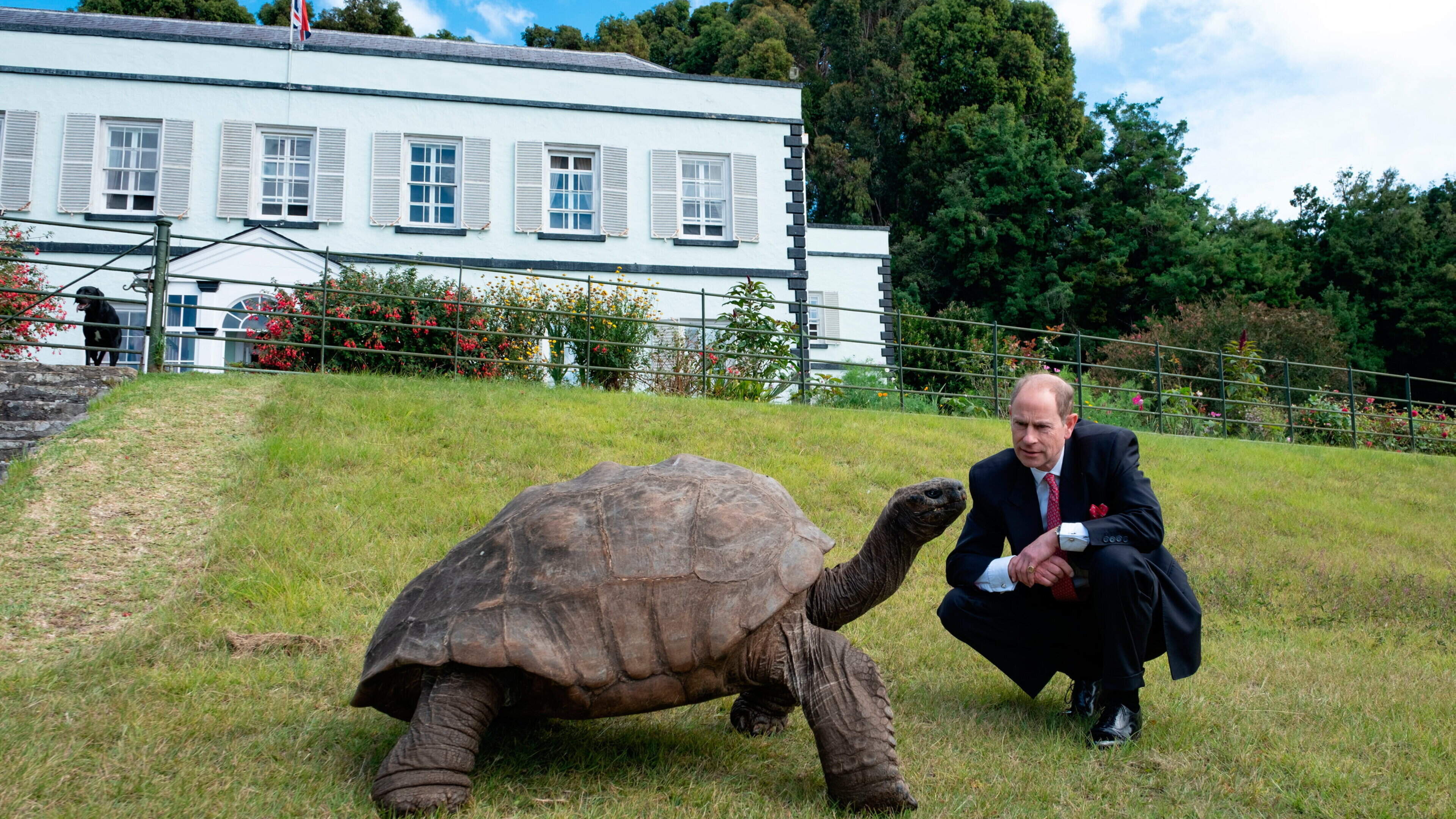 DNA from world’s oldest tortoise may hold key to slowing down human ageing process