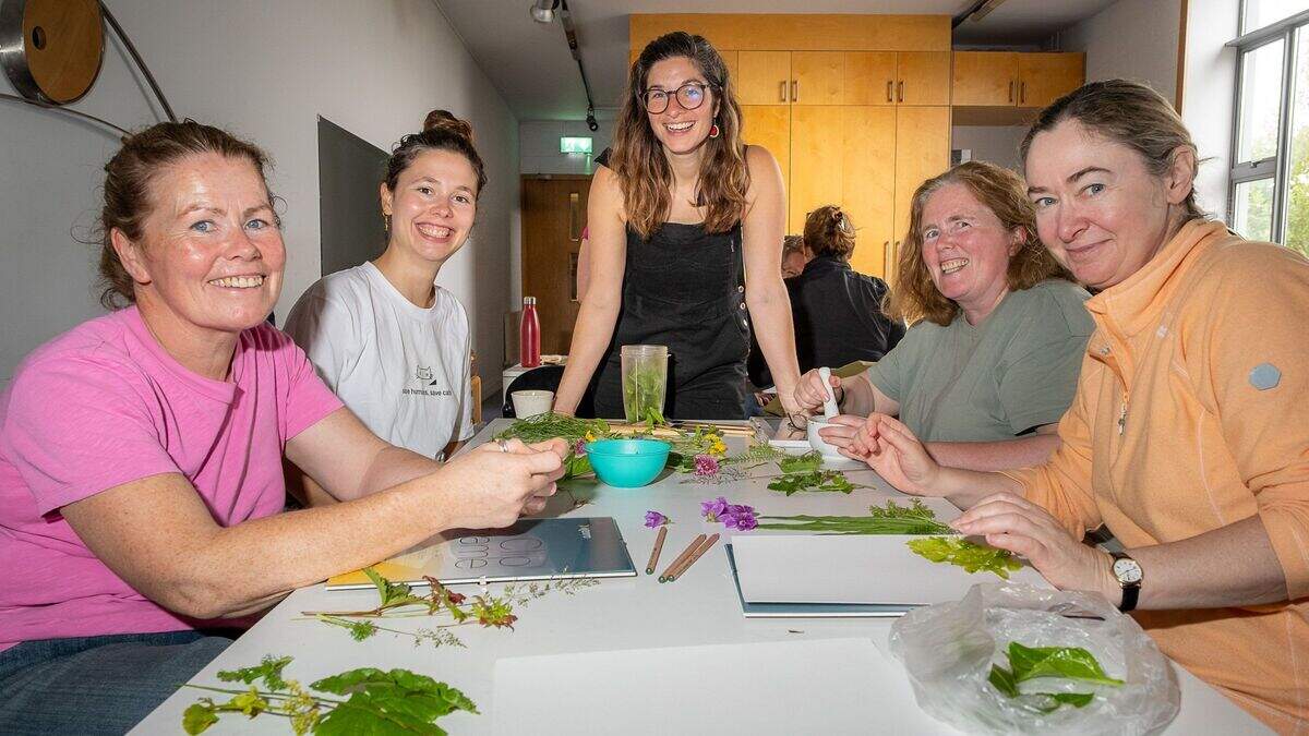 From shore to studio as Wicklow forager creates art from nature | Irish ...