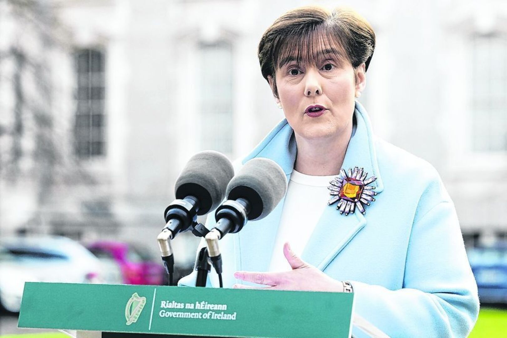 Minister Foley welcomes appointment of Dr Aisling Parkes as Special ...