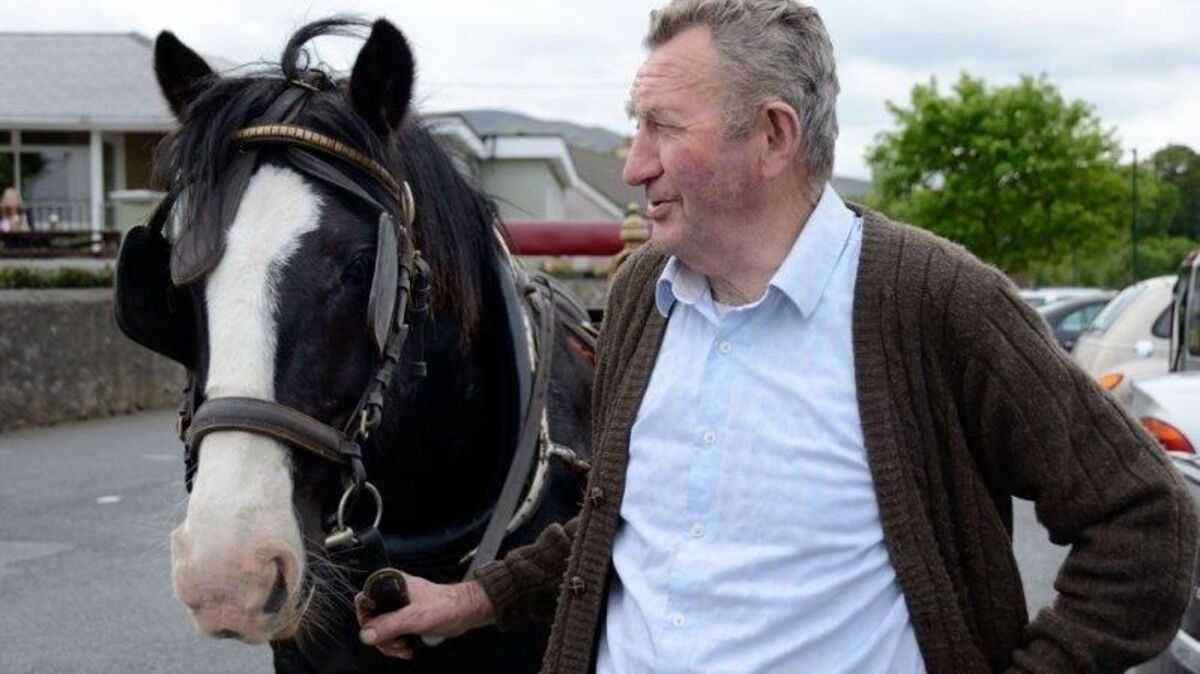 Tributes paid to Omeath man Arthur McGuigan – Louth’s last jarvey ...