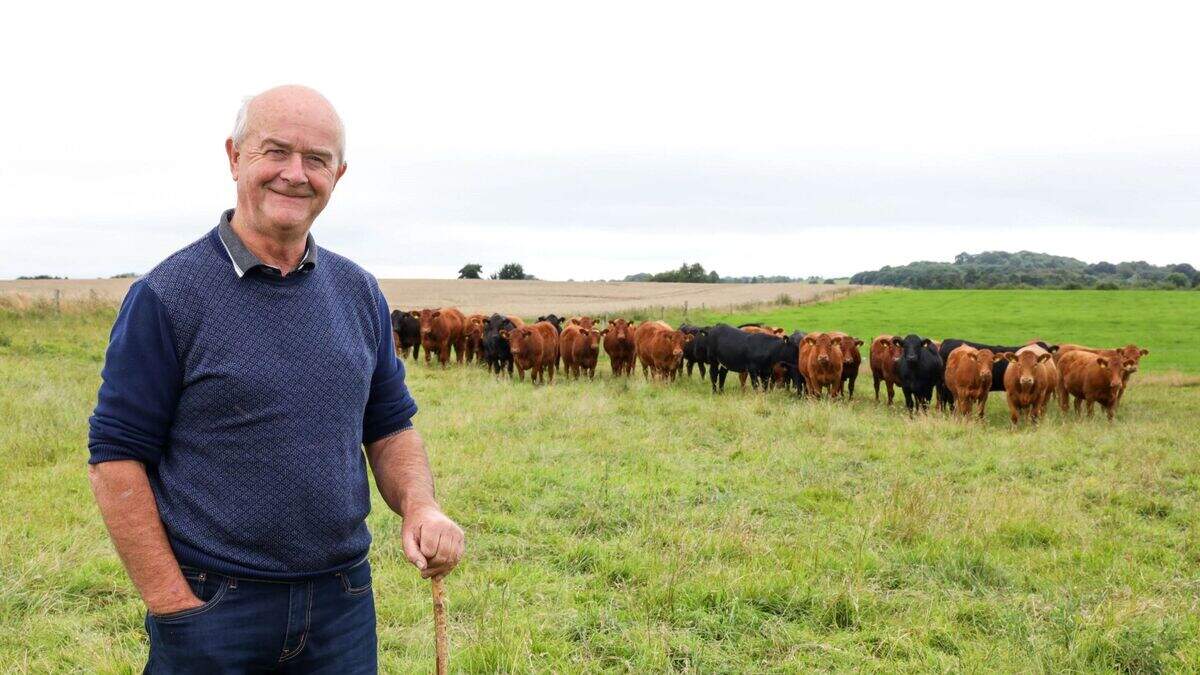 Robin Talbot: Tips for setting up paddocks for next spring | Irish ...
