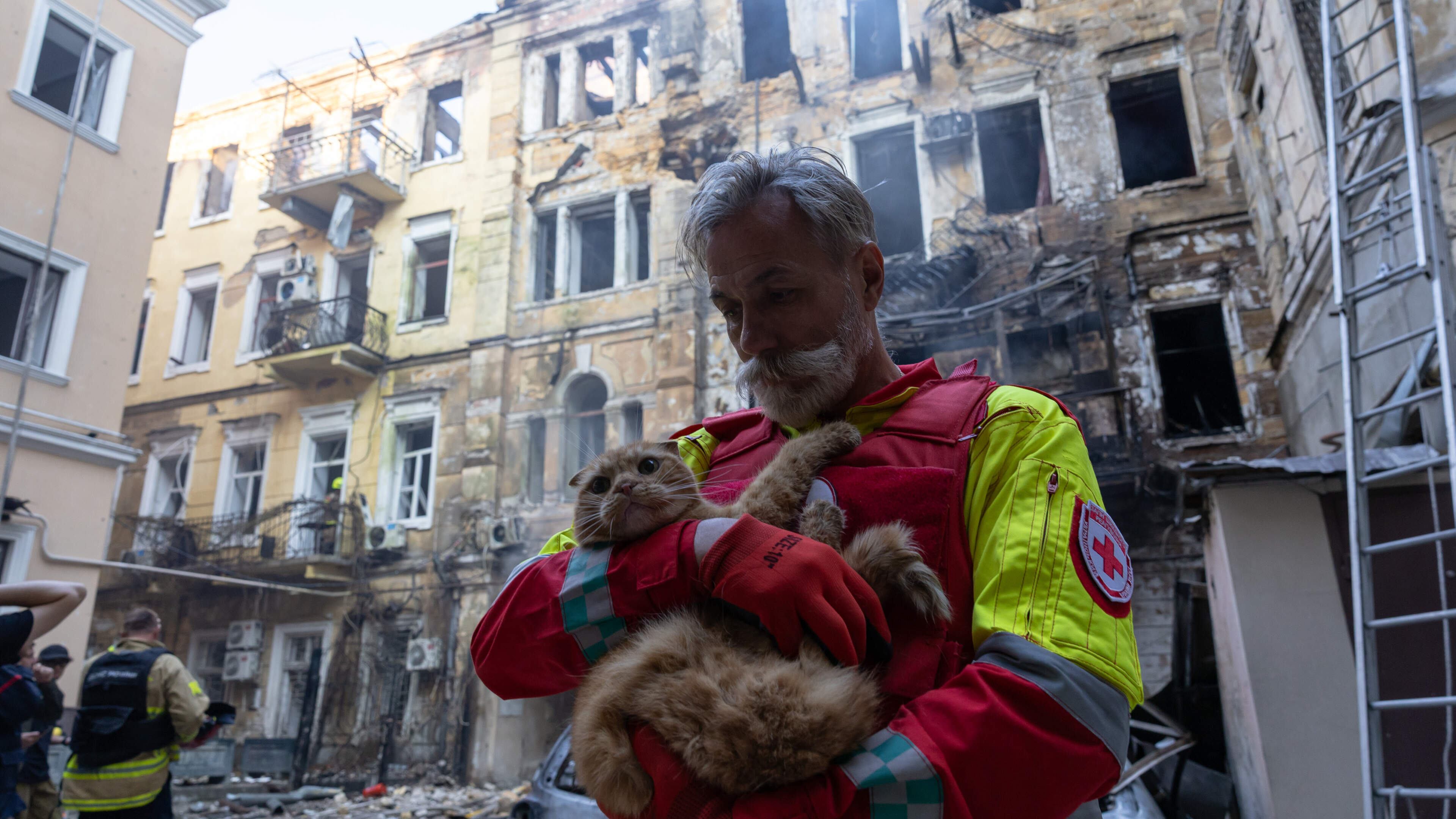 ‘They won’t survive without us’ – Odesa grandmothers caring for Ukraine’s stray animals