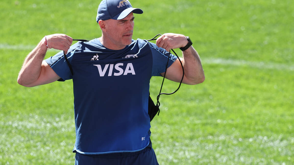 Felipe Contepomi would be ‘a great fit’ for Leinster job, insists Ian Madigan