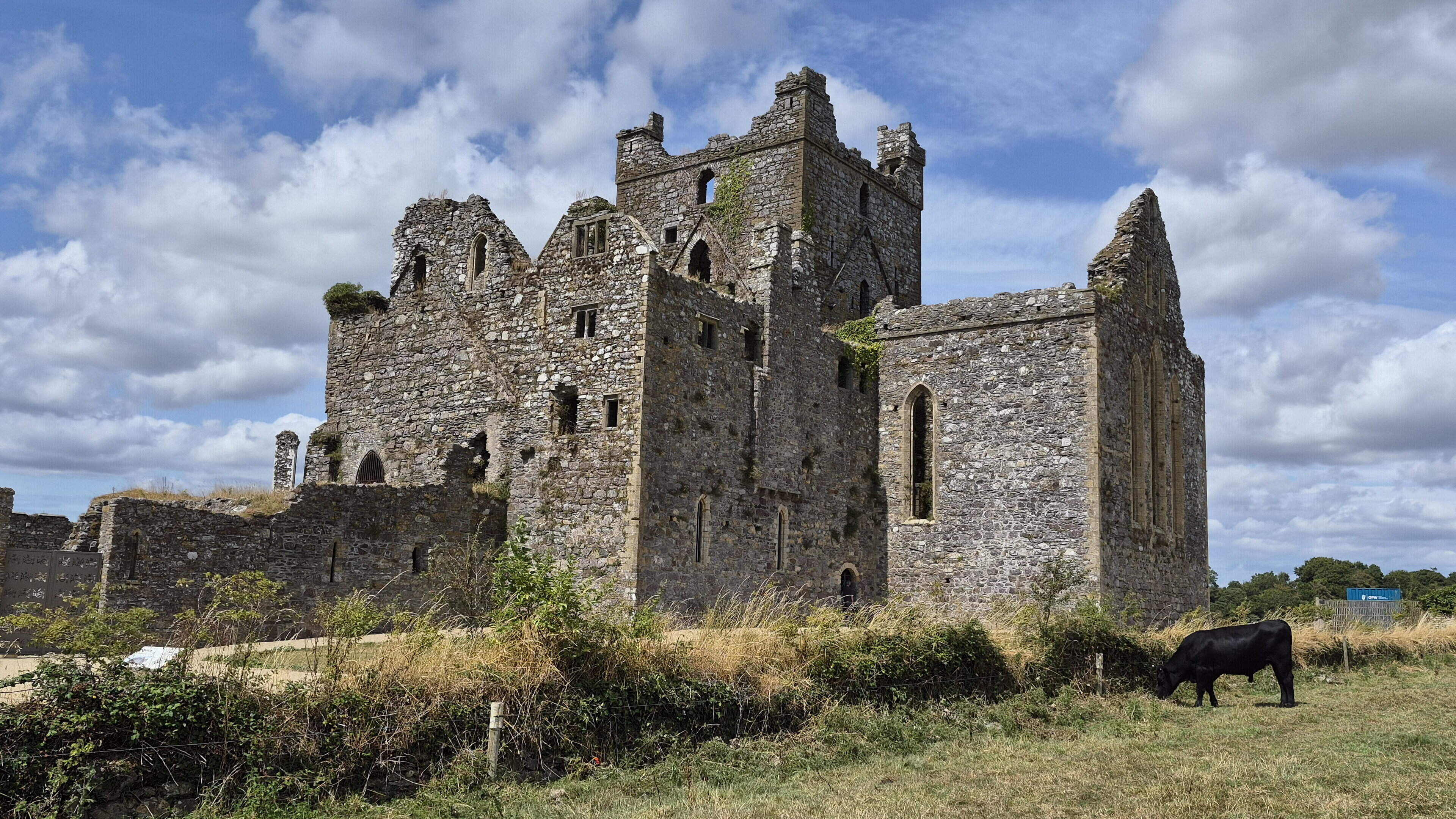 Wexford’s Dunbrody Abbey forced to close after vandals endanger their own lives to wreak havoc on site