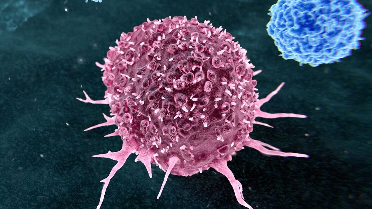Two-thirds of cancer patients now survive five years after diagnosis